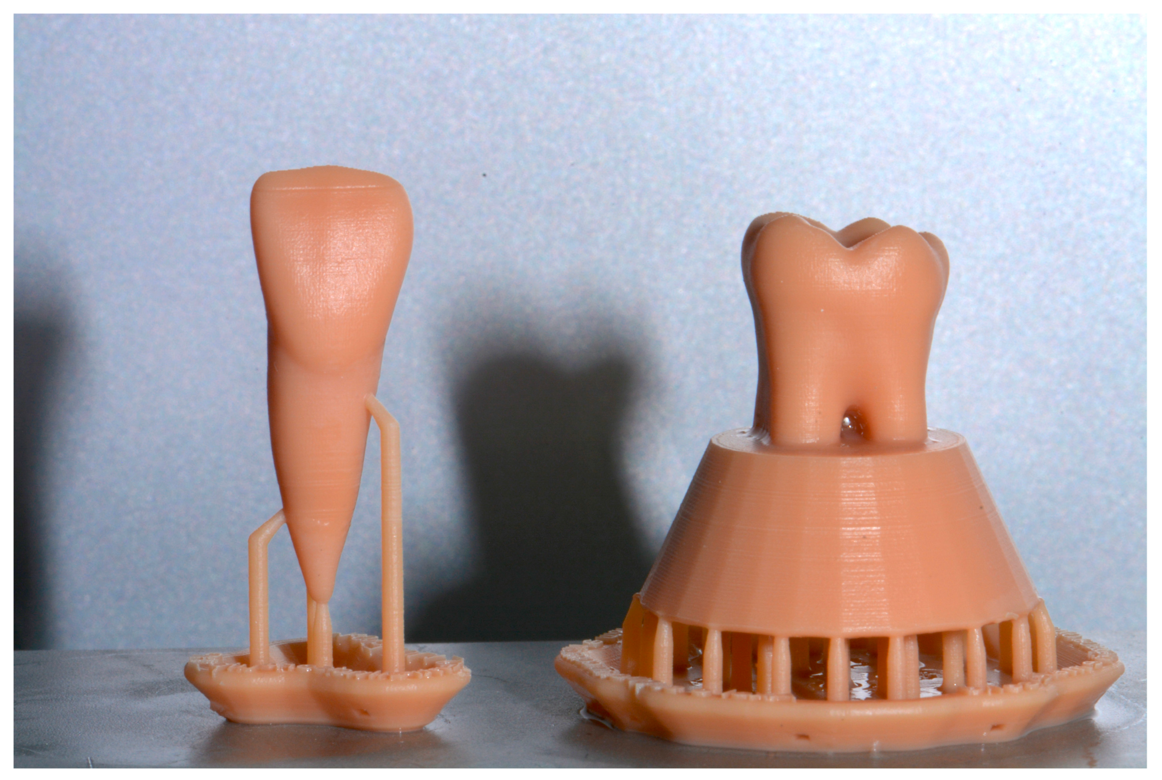 Dentistry 11 00152 g002