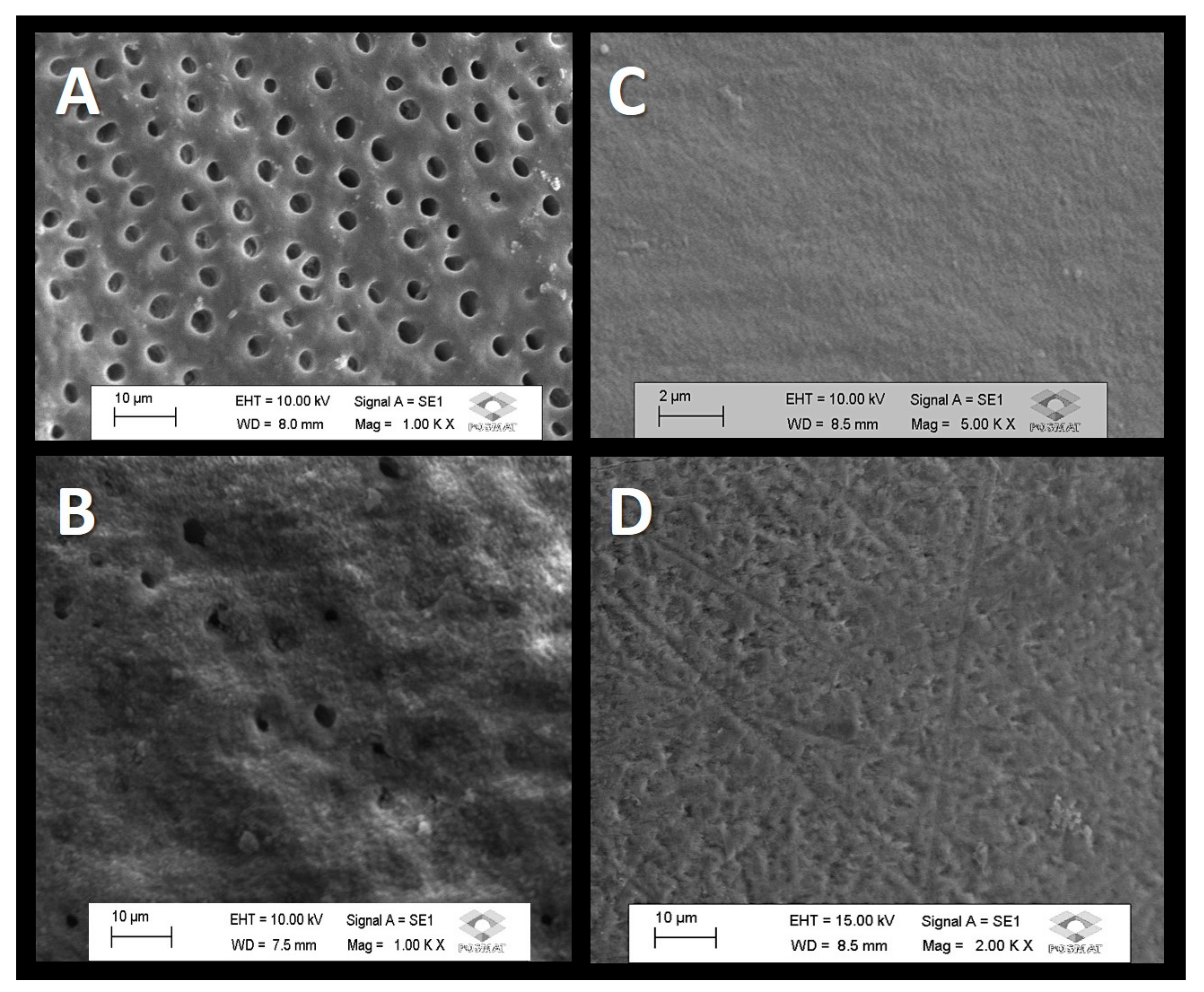 Dentistry 11 00153 g001 Dentistry 11 00153 g001