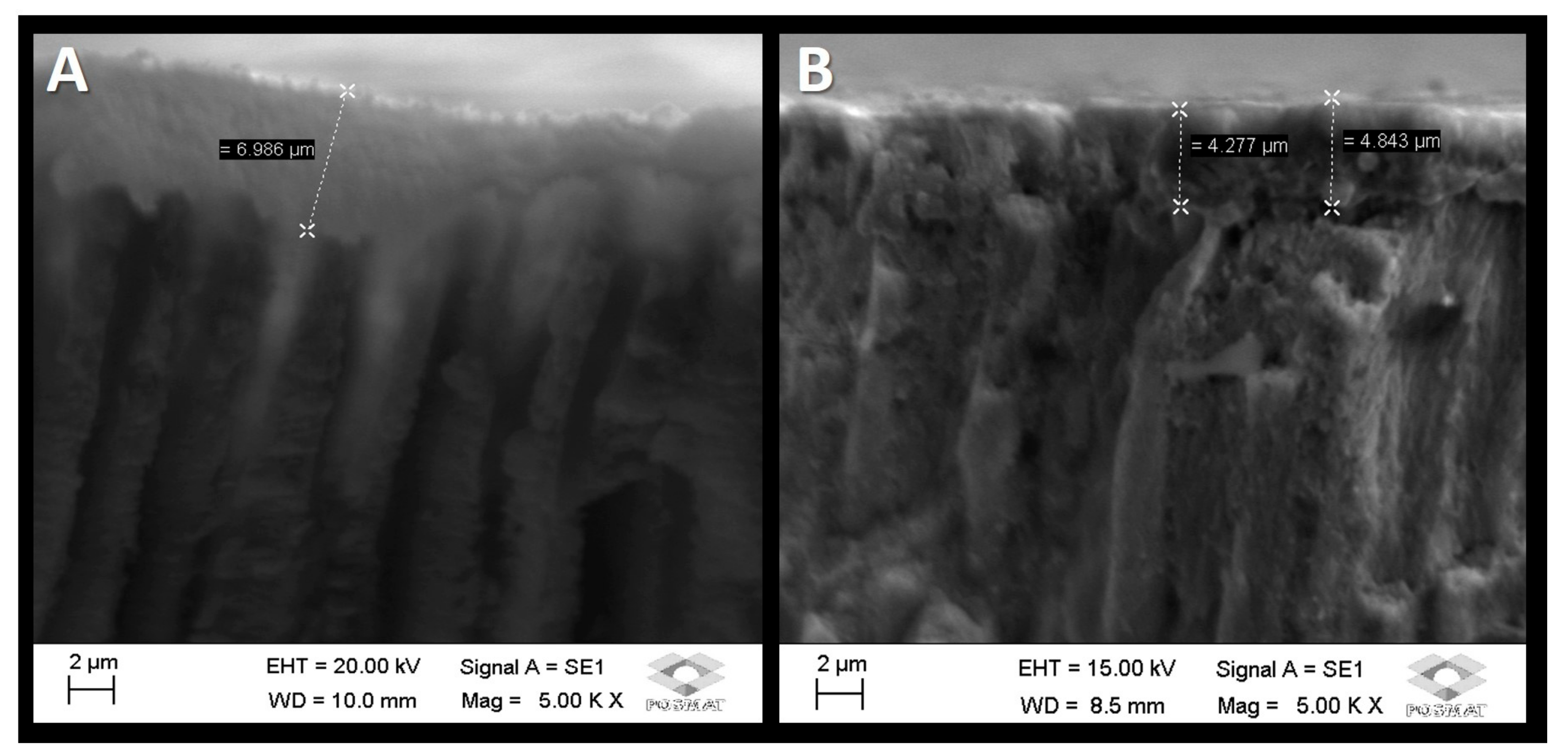 Dentistry 11 00153 g002 Dentistry 11 00153 g002