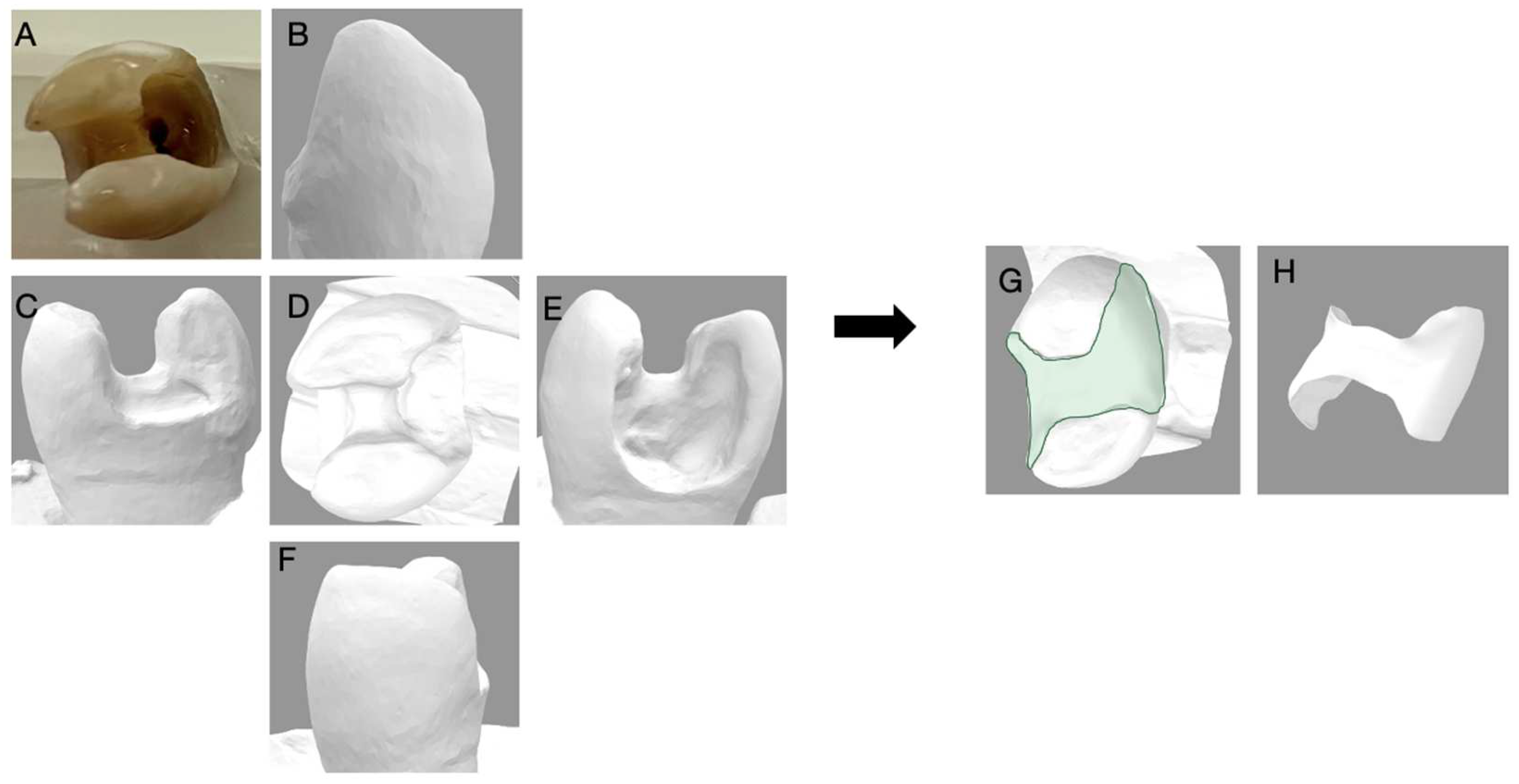 Dentistry 11 00159 g009