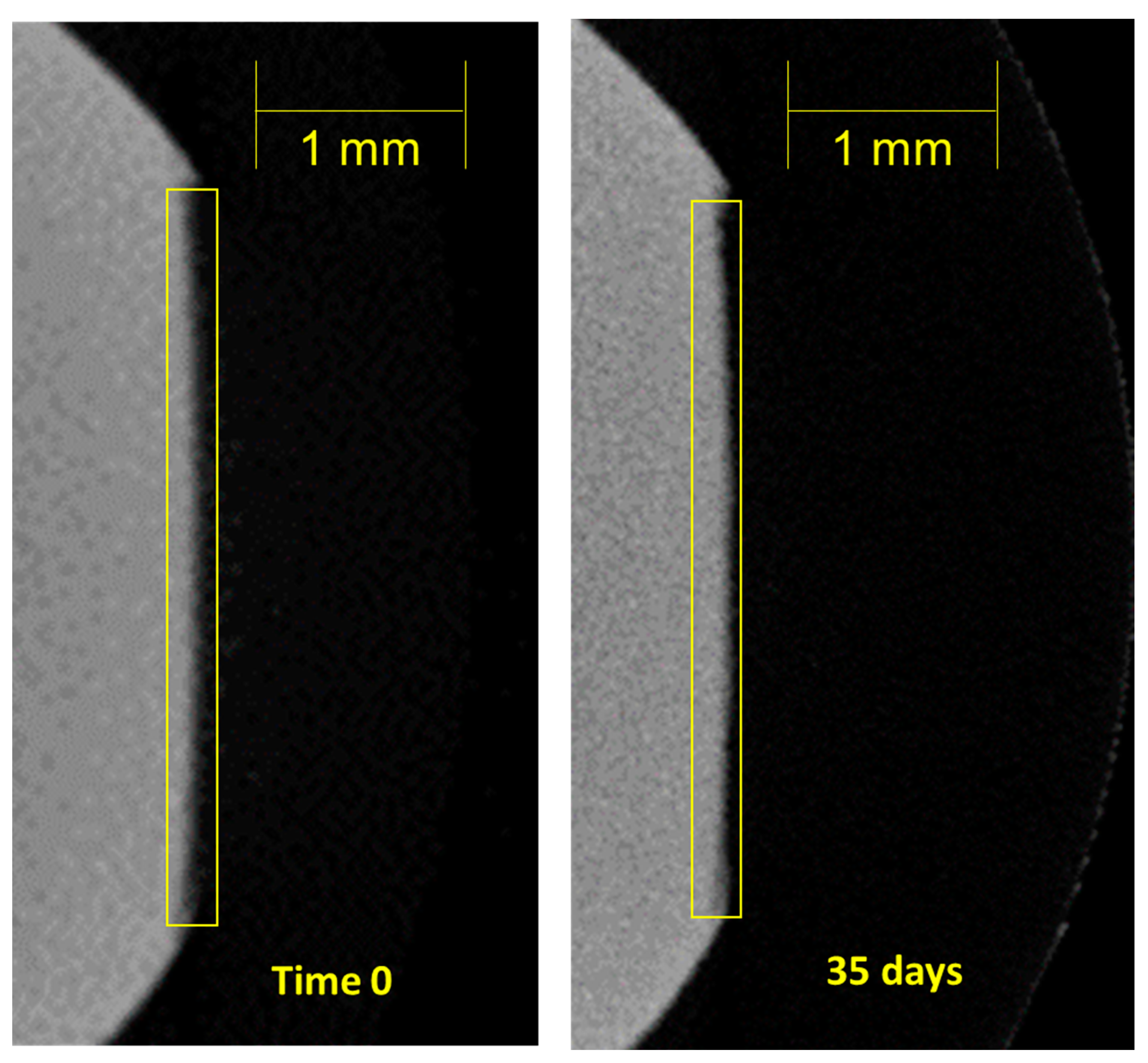 Dentistry 11 00182 g005