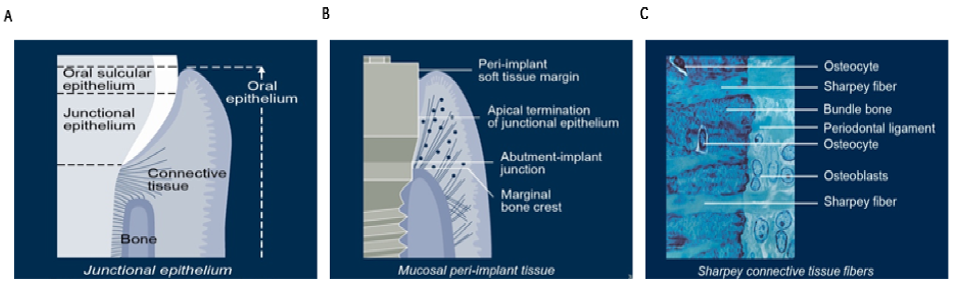 Dentistry 11 00196 g001