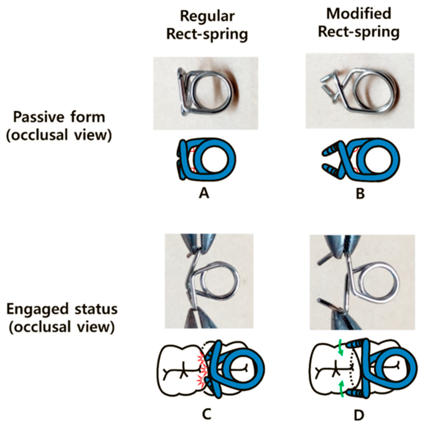 Dentistry 11 00206 g009