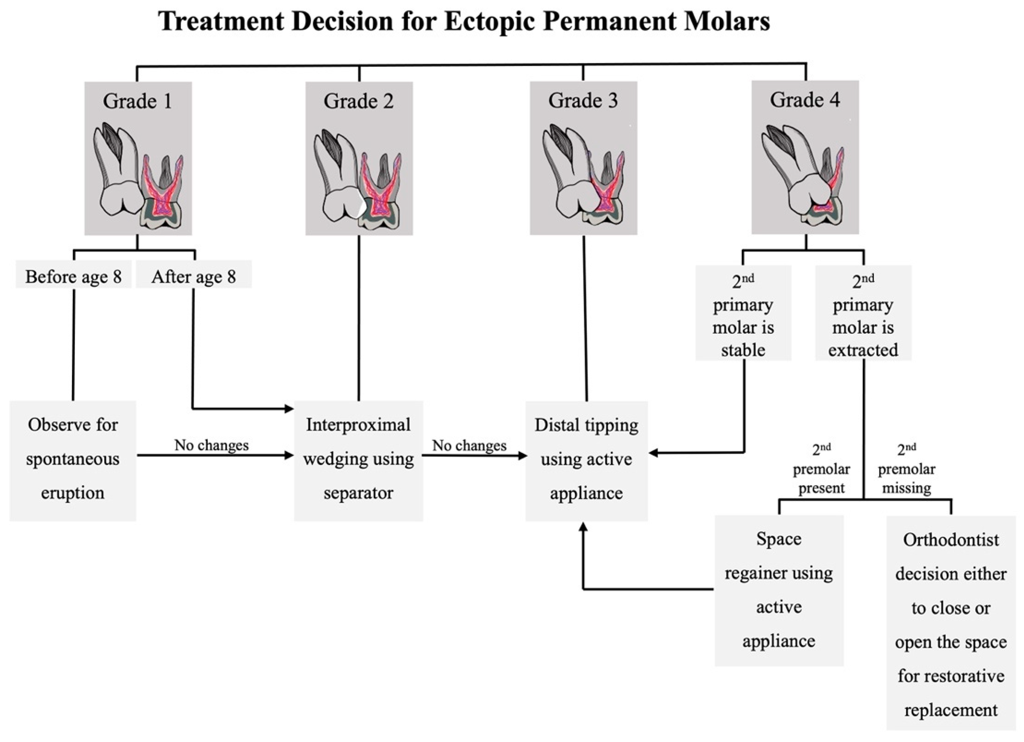 Dentistry 11 00206 g010