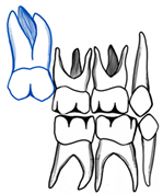 Dentistry 11 00206 i005