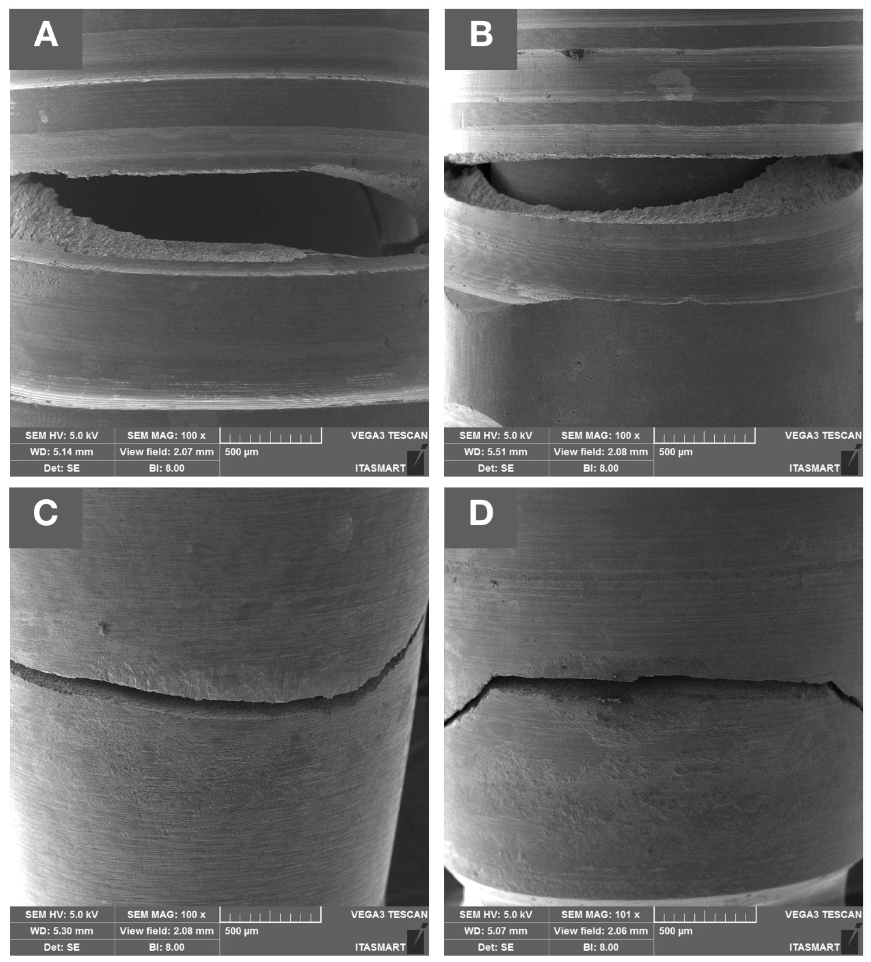 Dentistry 11 00207 g005