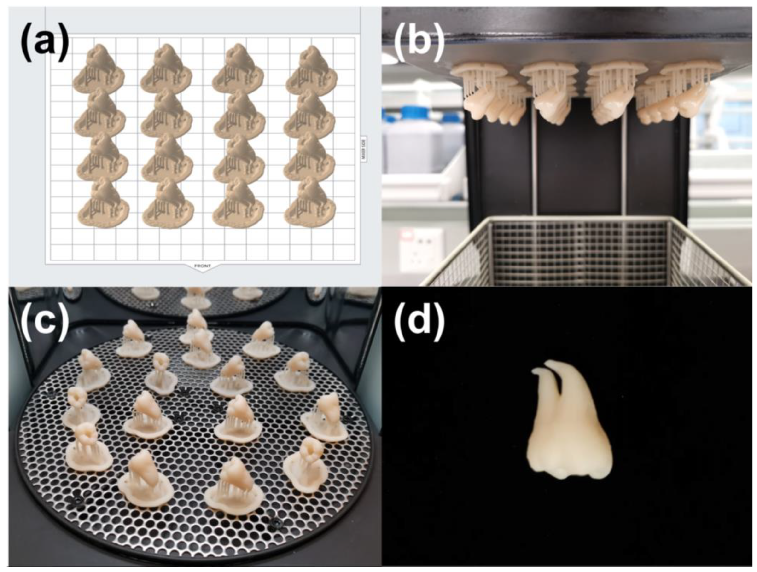 Dentistry 11 00213 g004