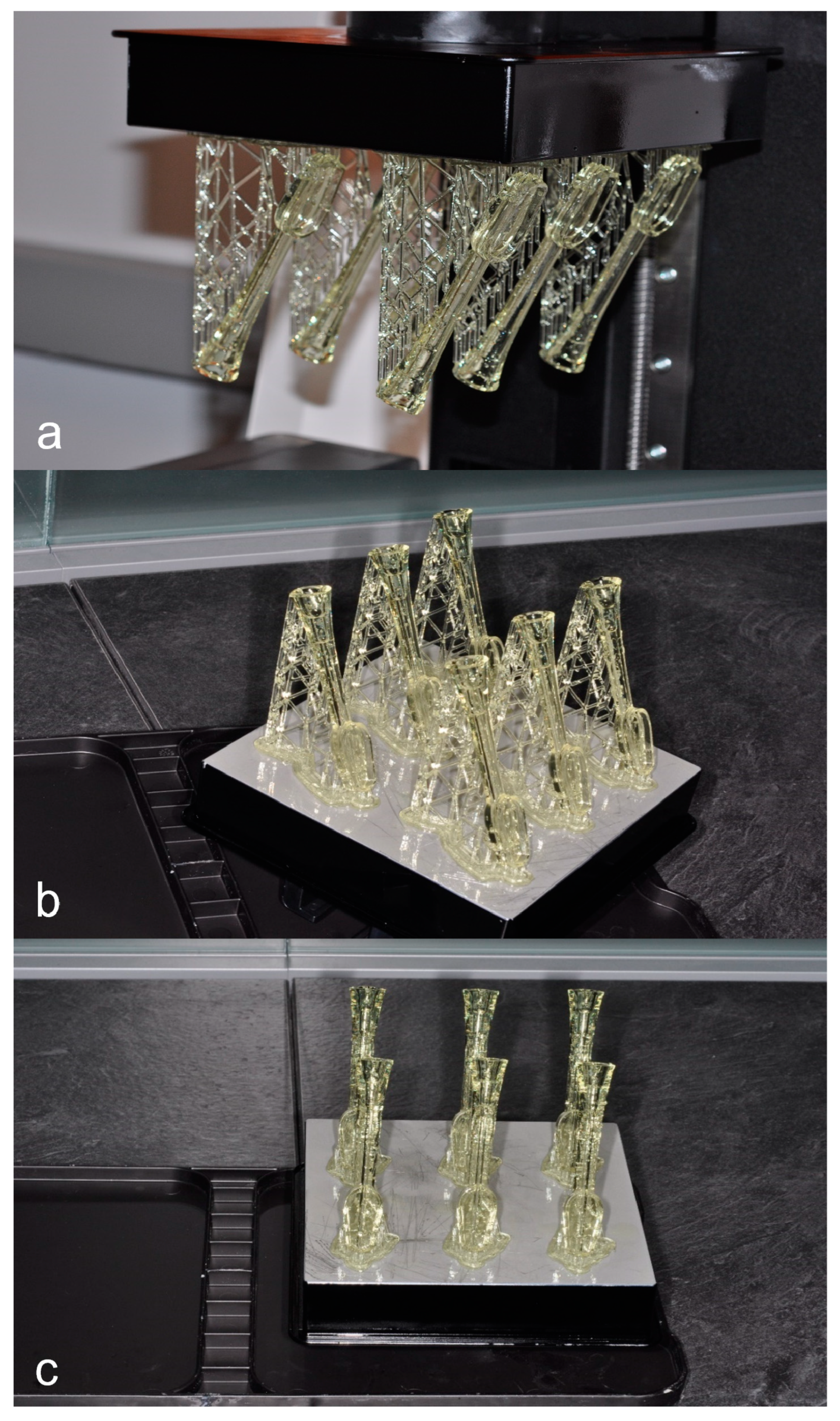 Dentistry 11 00224 g001