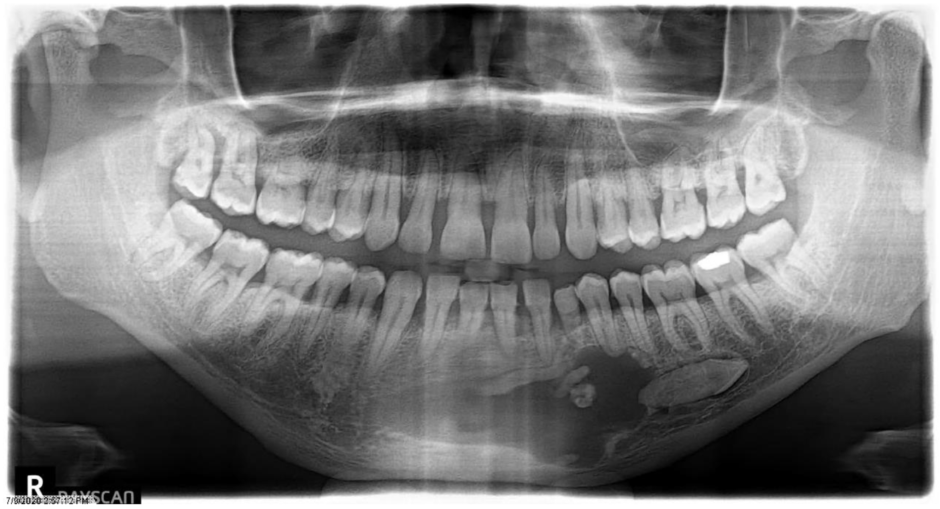 Dentistry 11 00253 g002