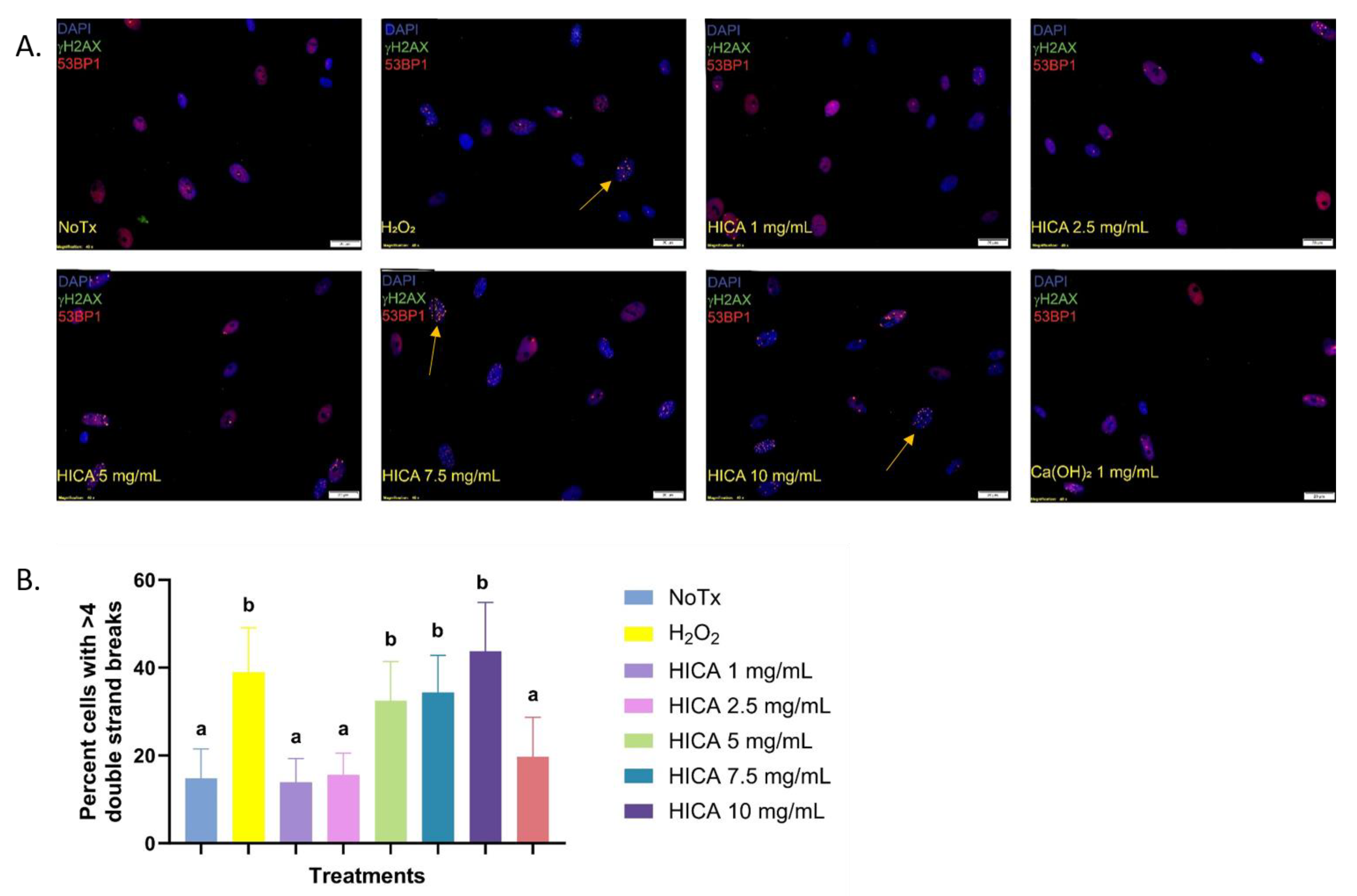 Dentistry 11 00270 g002