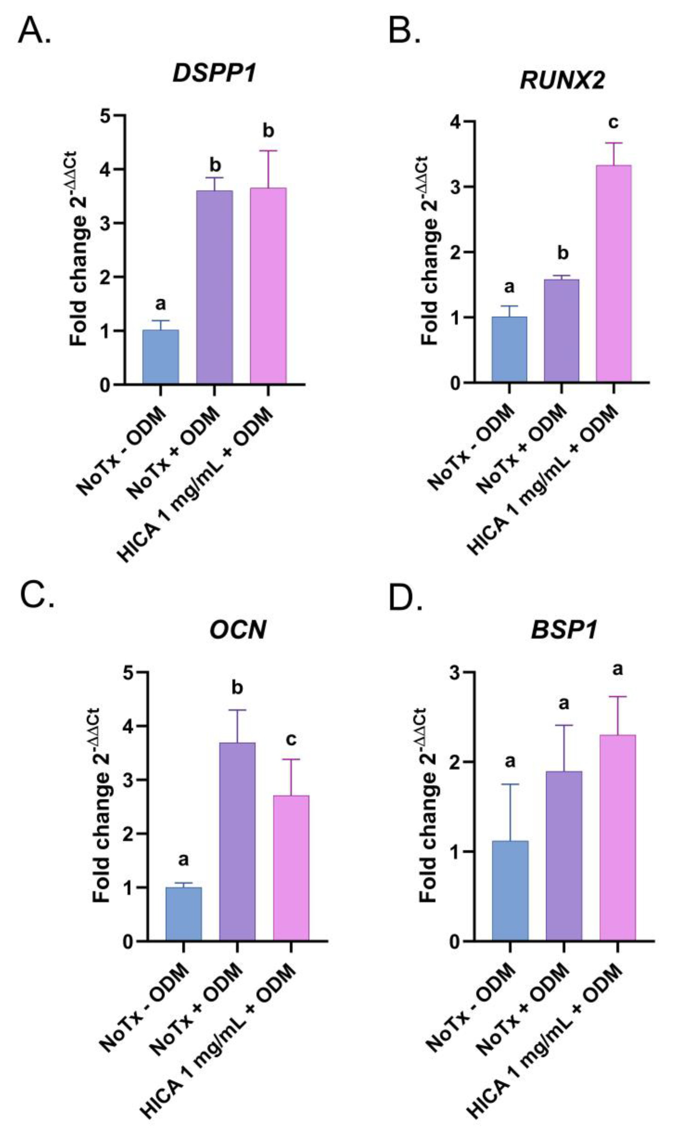 Dentistry 11 00270 g004