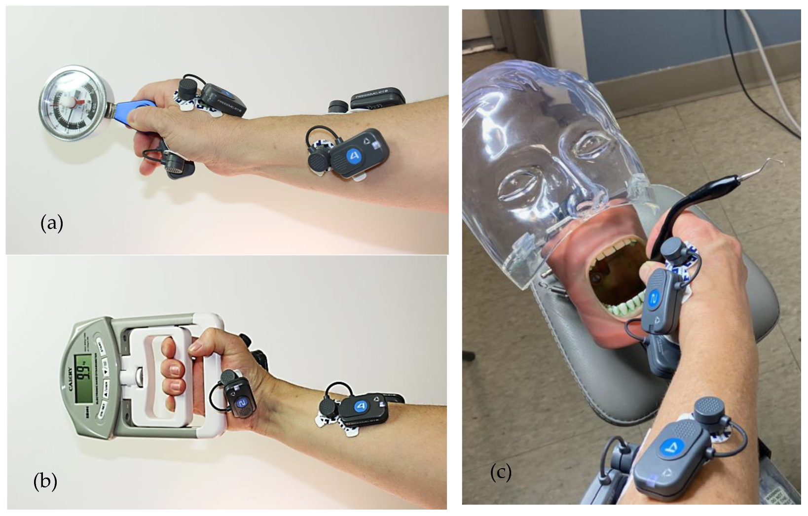 Dentistry 11 00272 g001 Dentistry 11 00272 g001