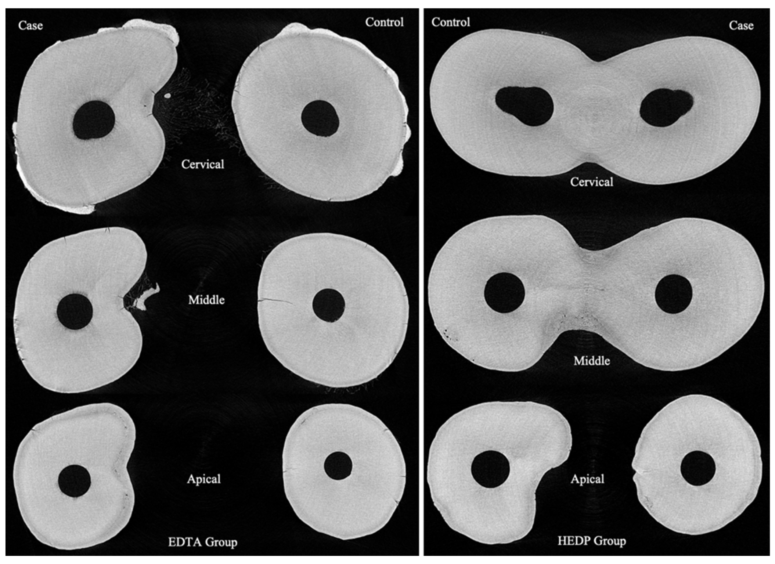 Dentistry 11 00286 g001