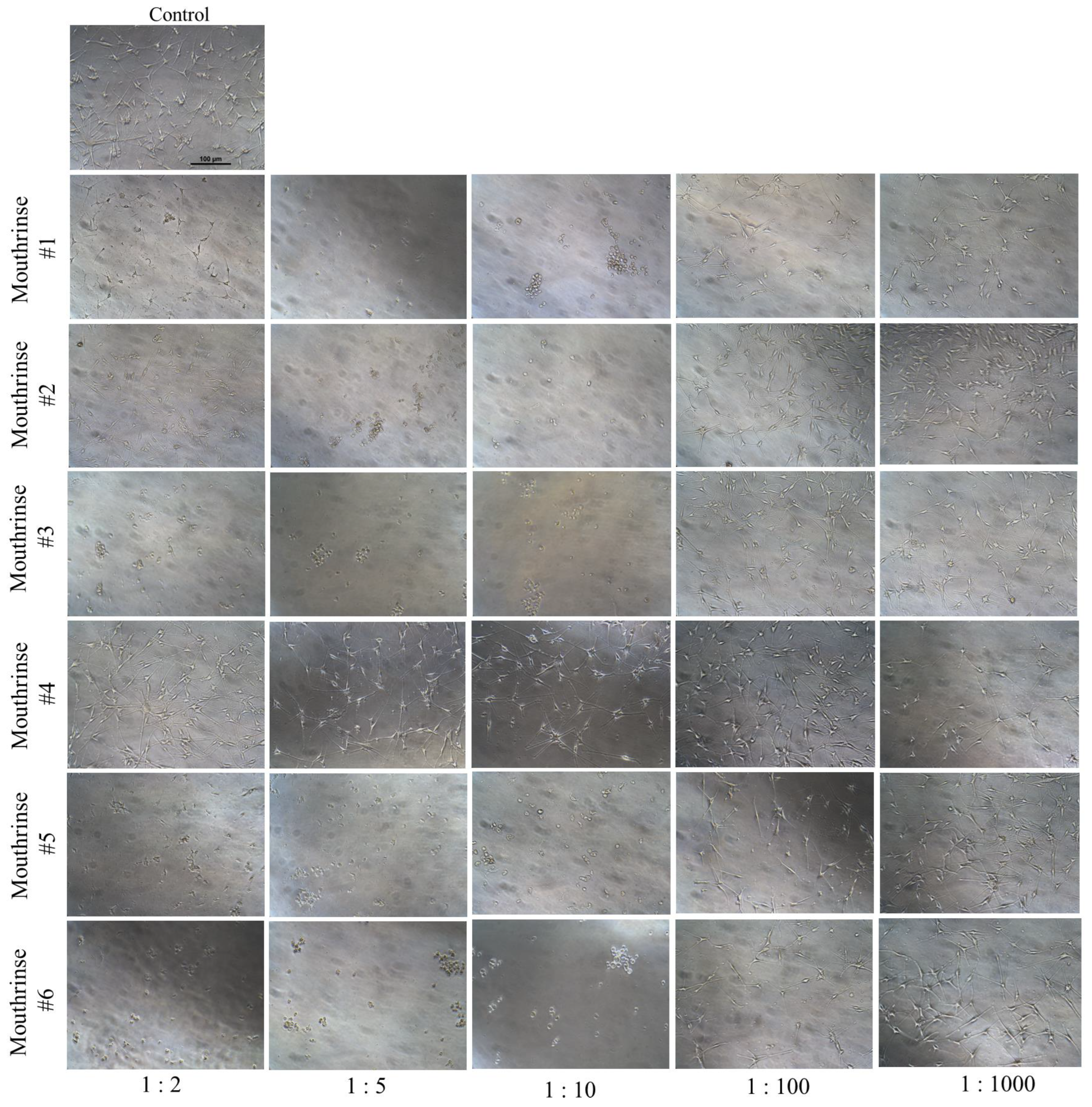 Dentistry 11 00287 g002