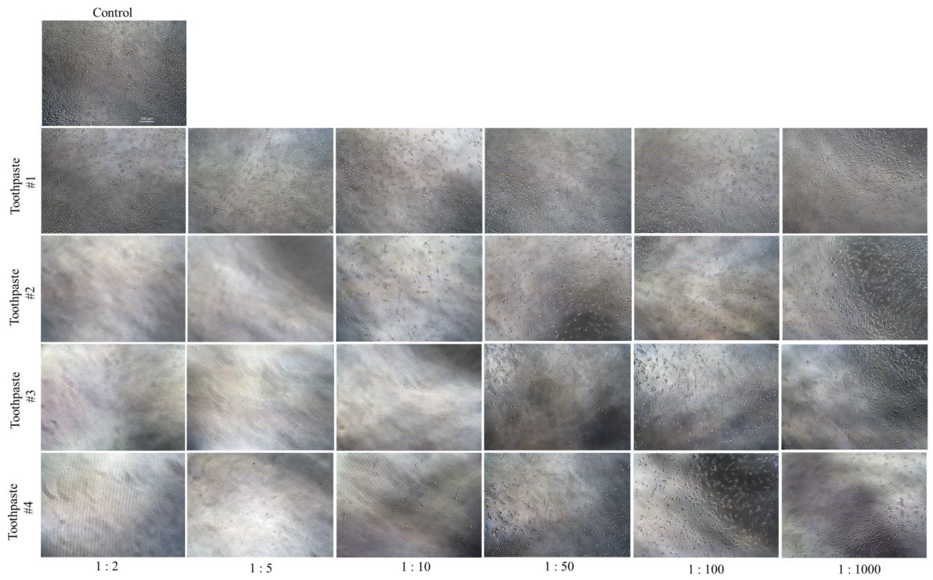 Dentistry 11 00287 g004