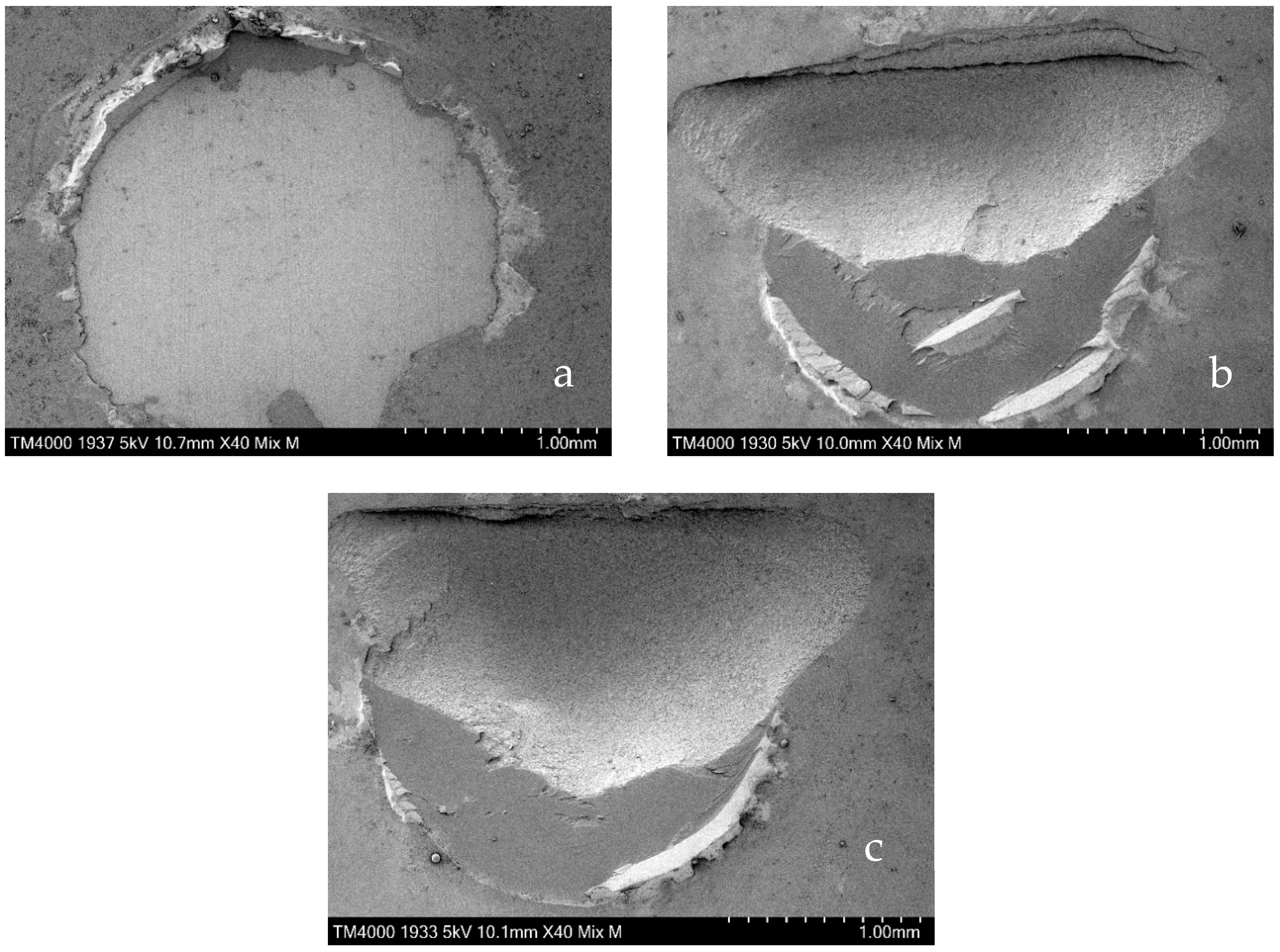 Dentistry 11 00290 g005