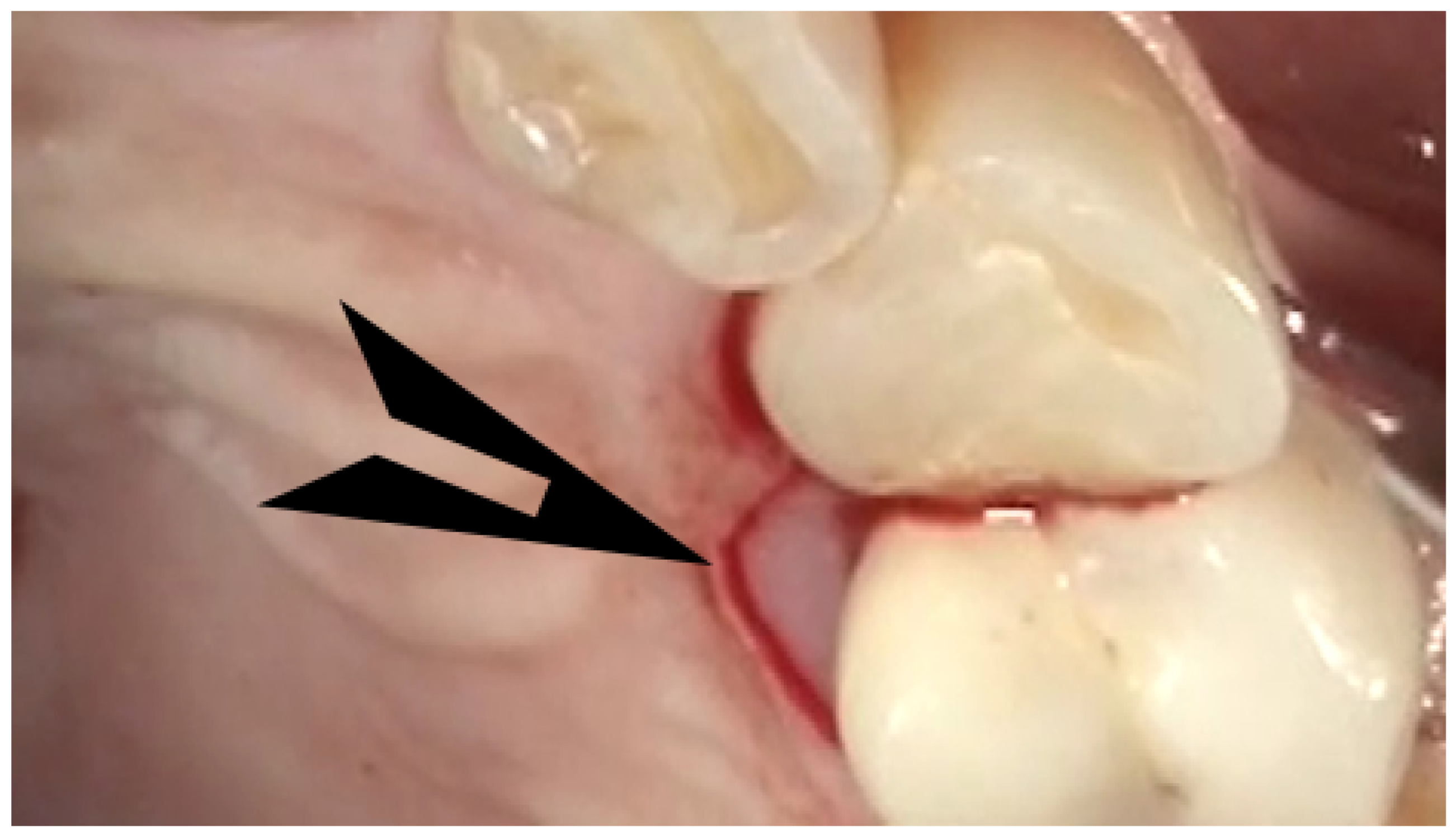 Dentistry 12 00011 g001