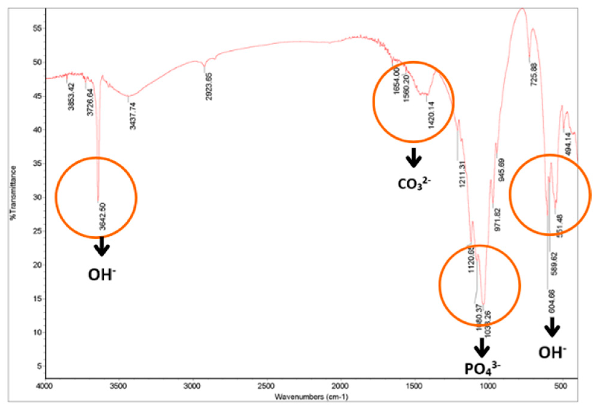 Dentistry 12 00018 g001