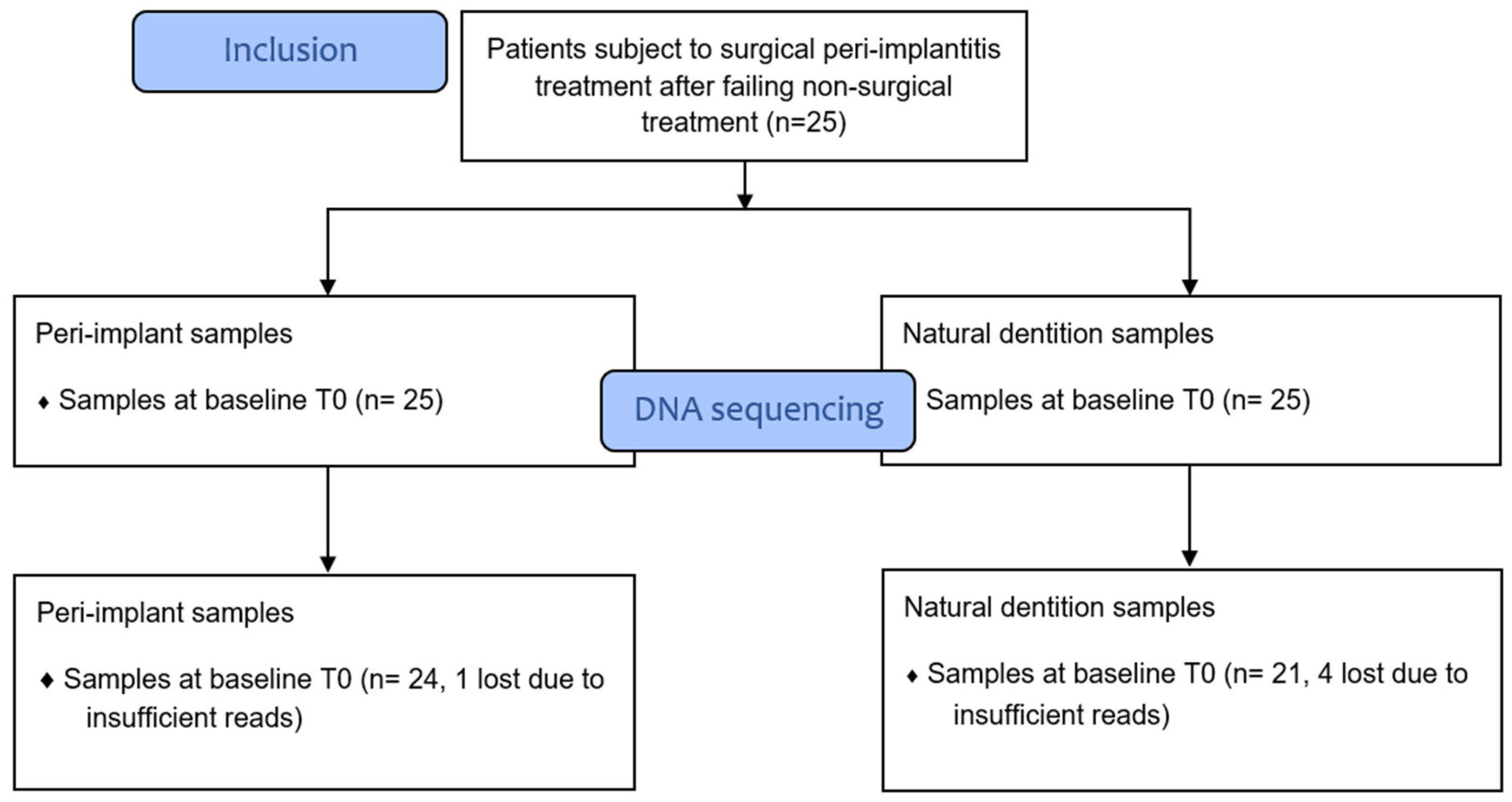 Dentistry 12 00020 g001