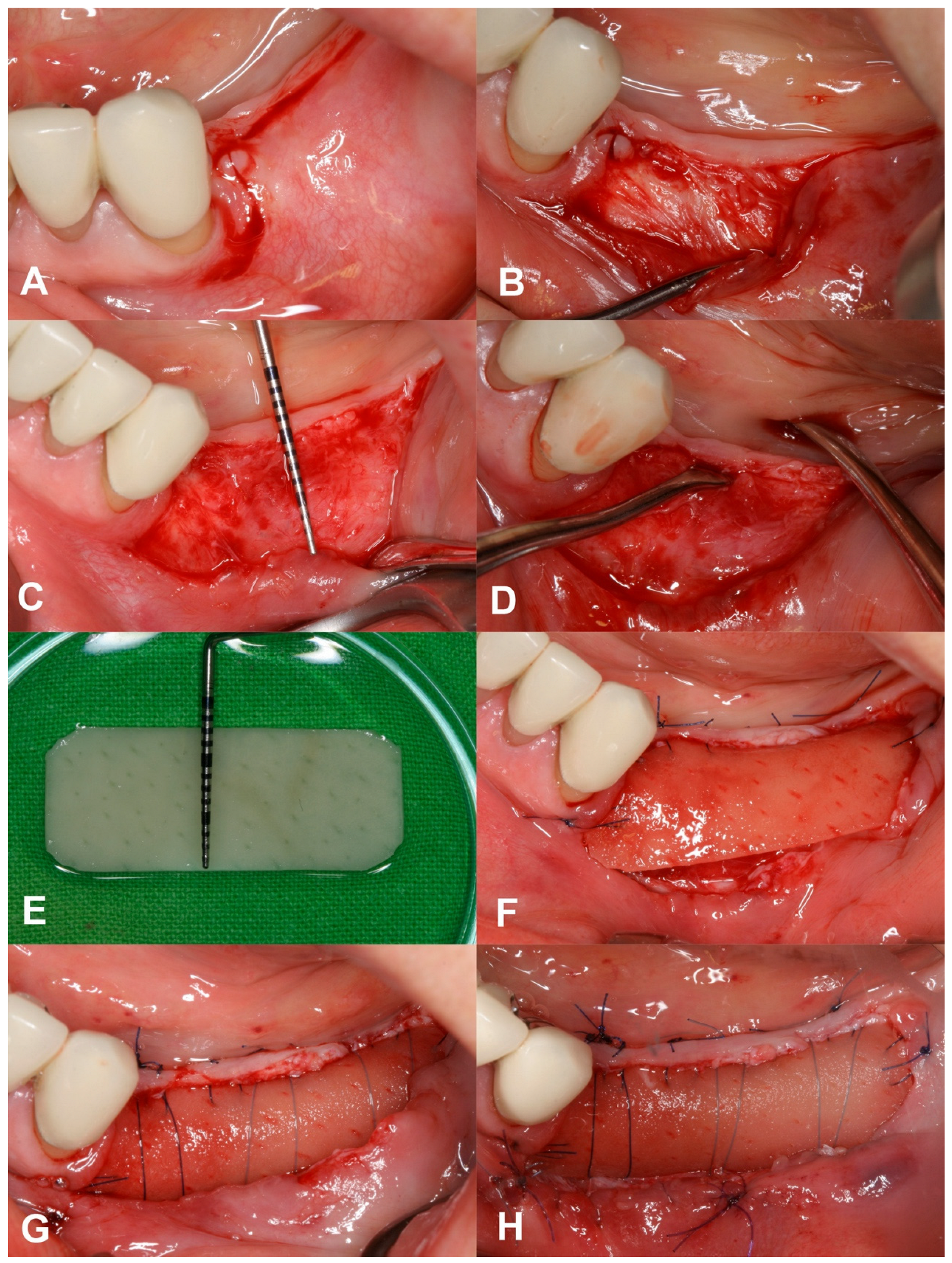 Dentistry 12 00043 g001