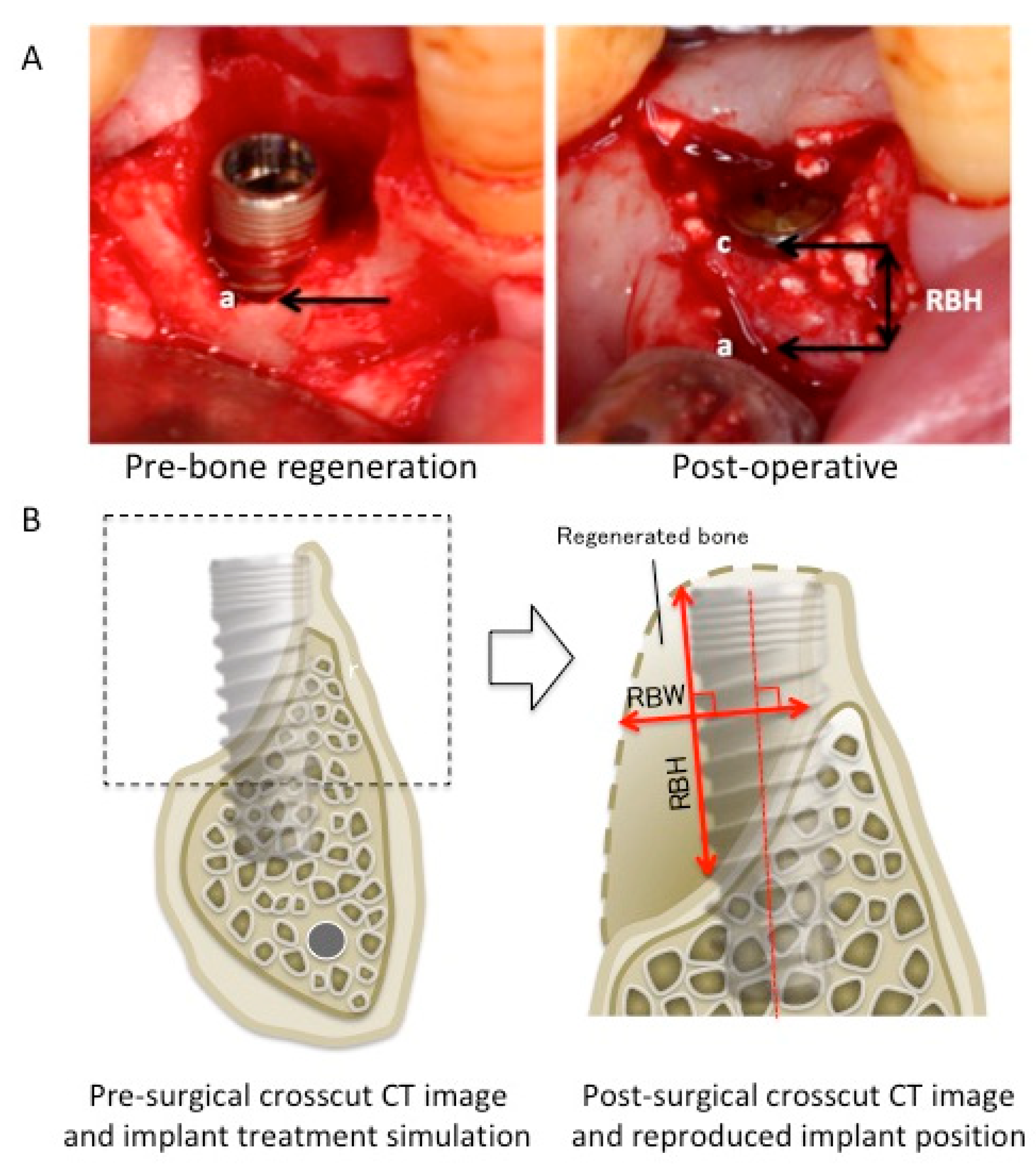 Dentistry 12 00055 g001