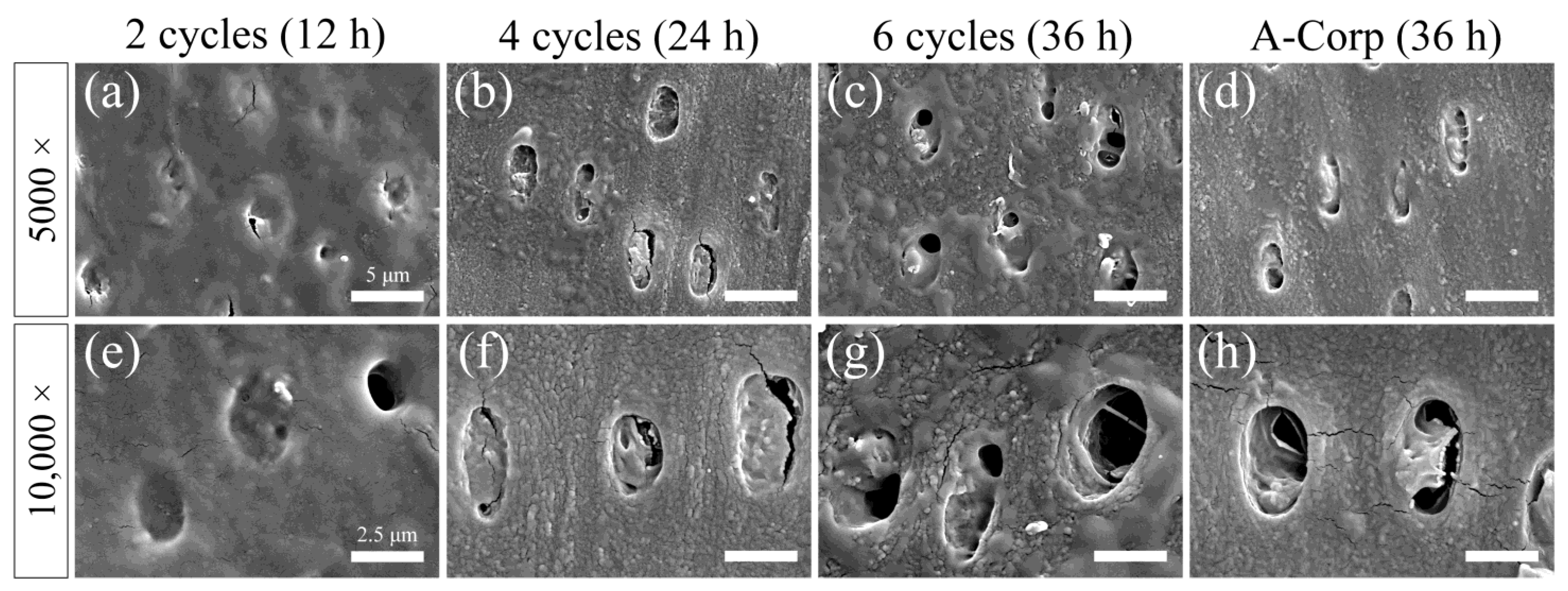 Dentistry 12 00070 g008