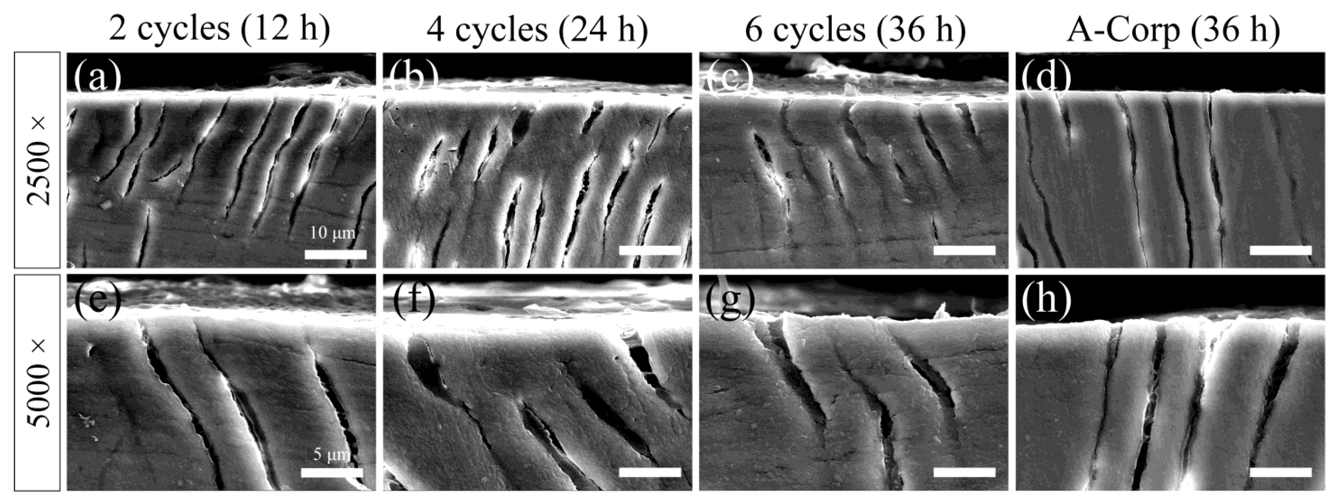 Dentistry 12 00070 g009