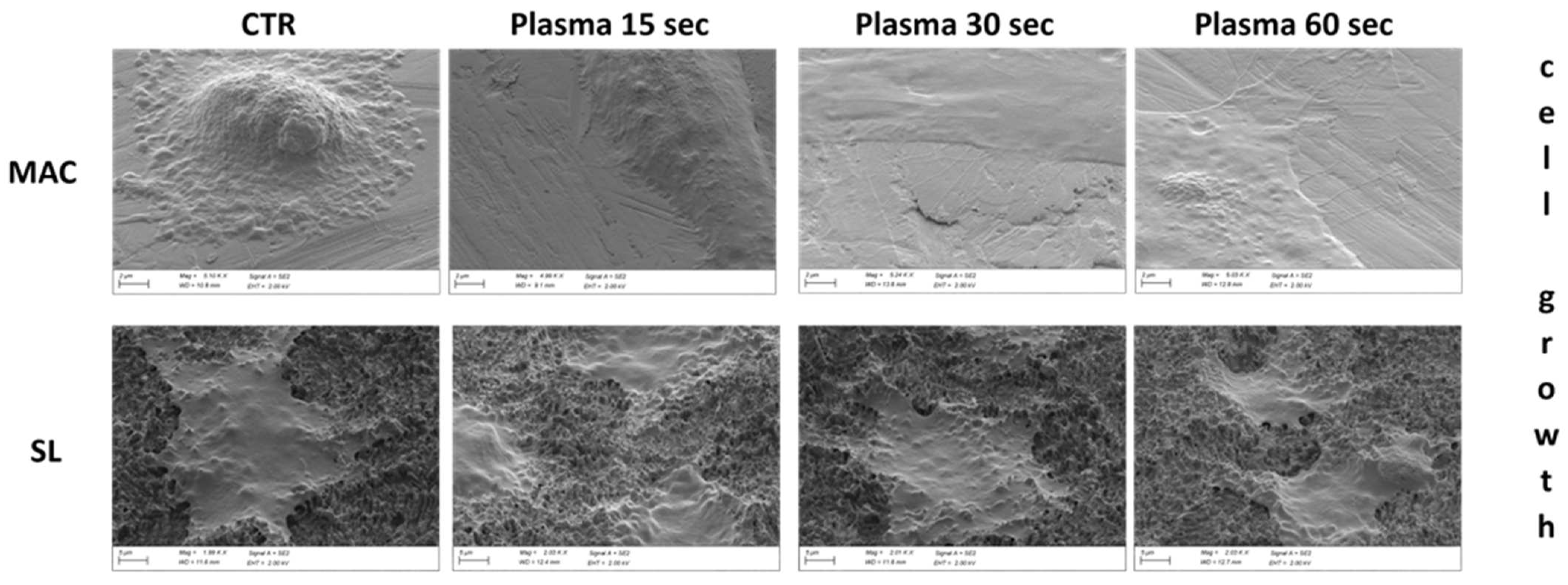 Dentistry 12 00071 g008