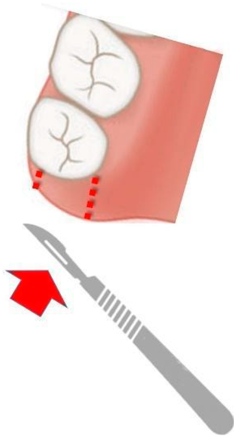 Dentistry 12 00086 g002