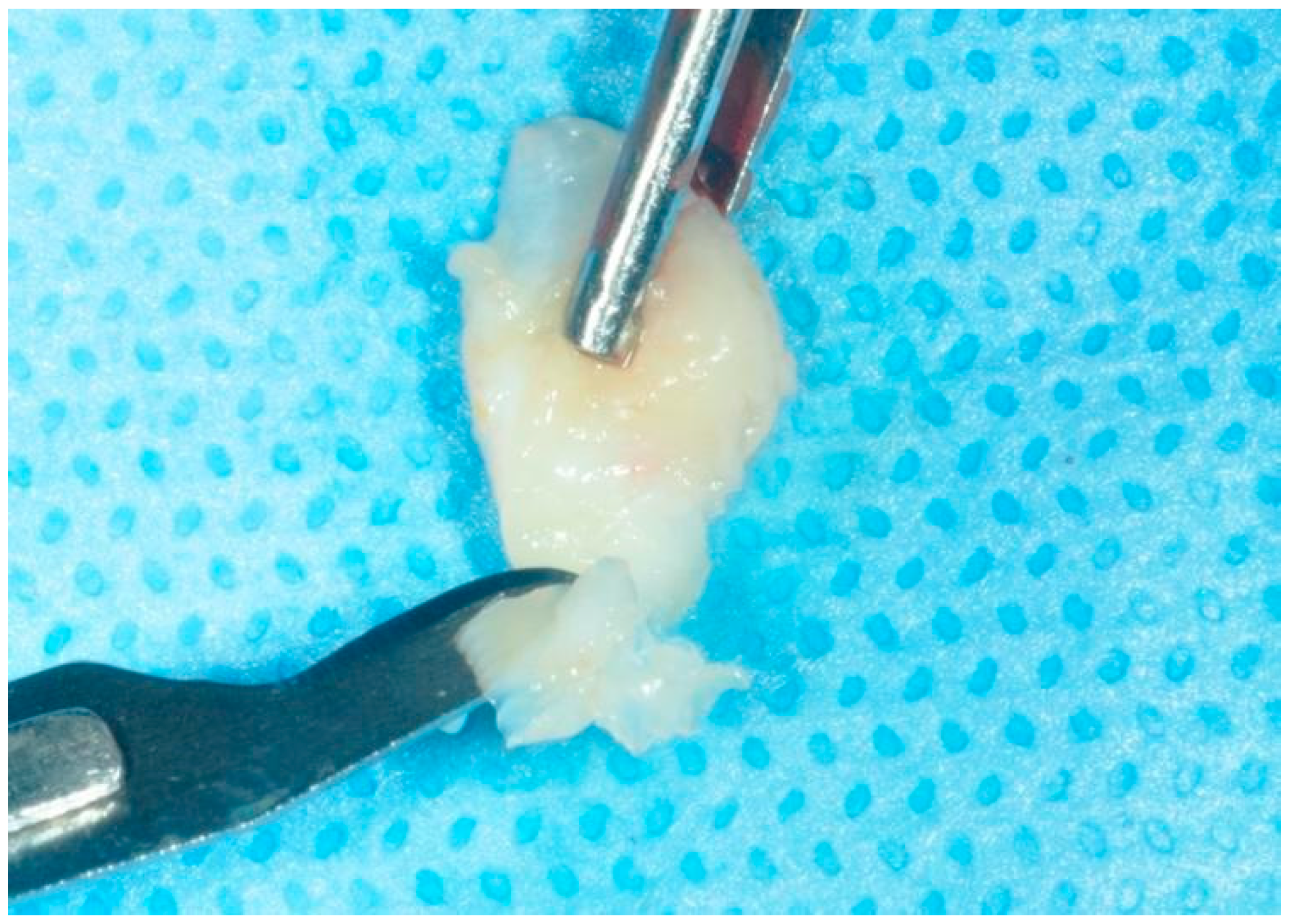 Dentistry 12 00086 g003