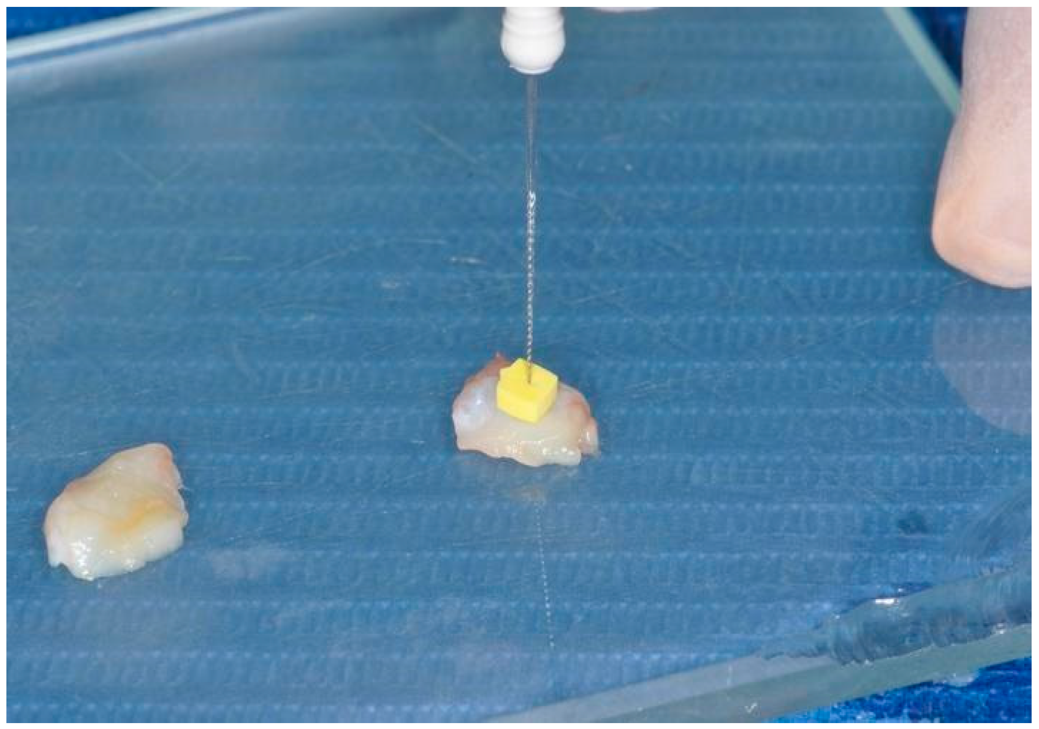 Dentistry 12 00086 g004