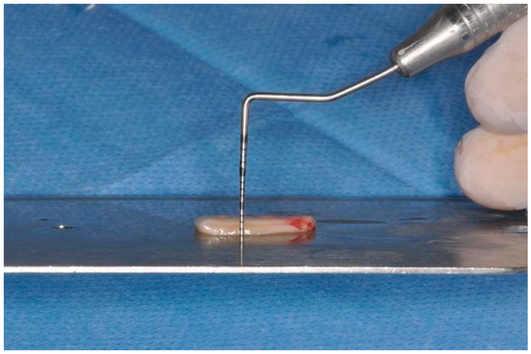 Dentistry 12 00086 g005