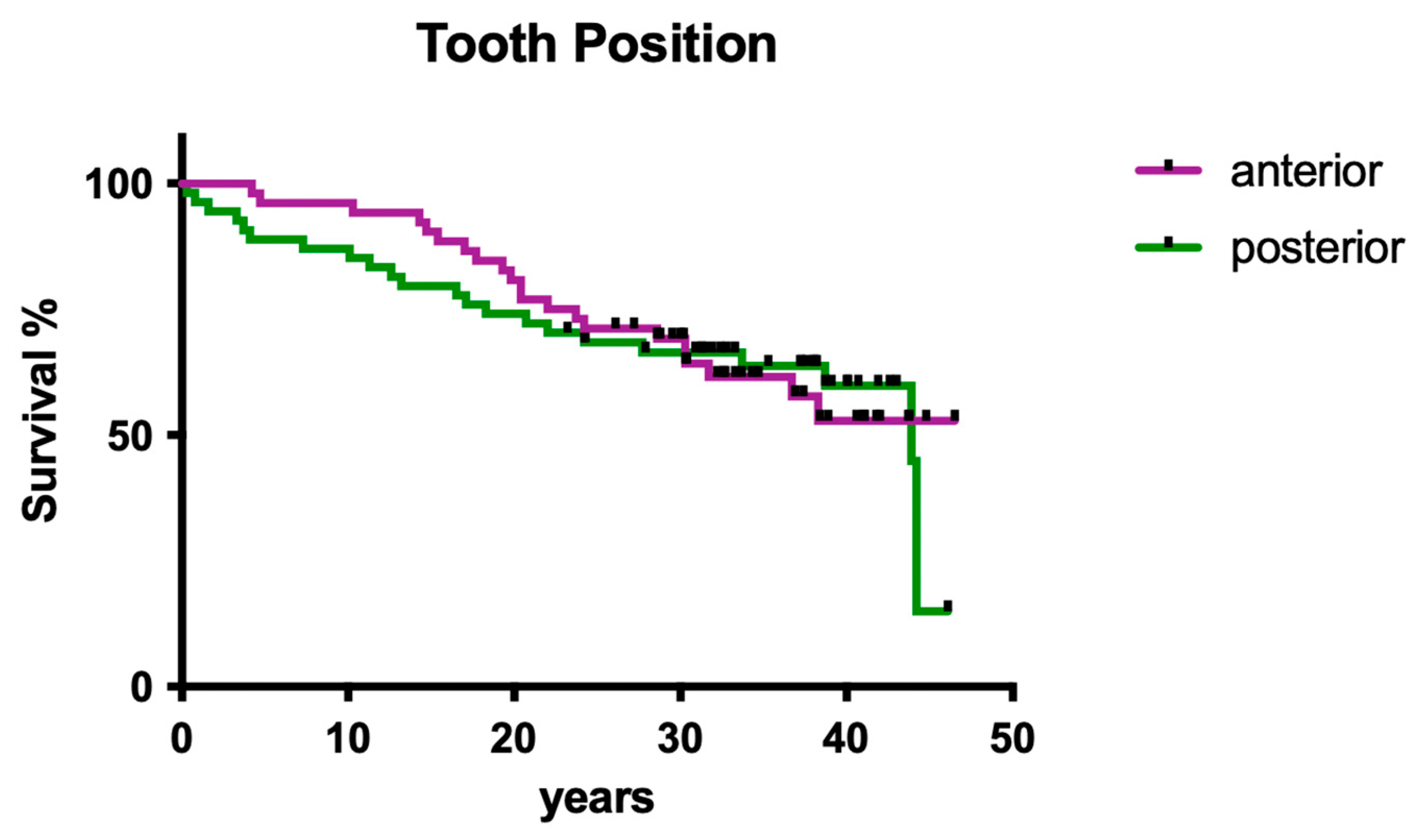 Dentistry 12 00090 g003