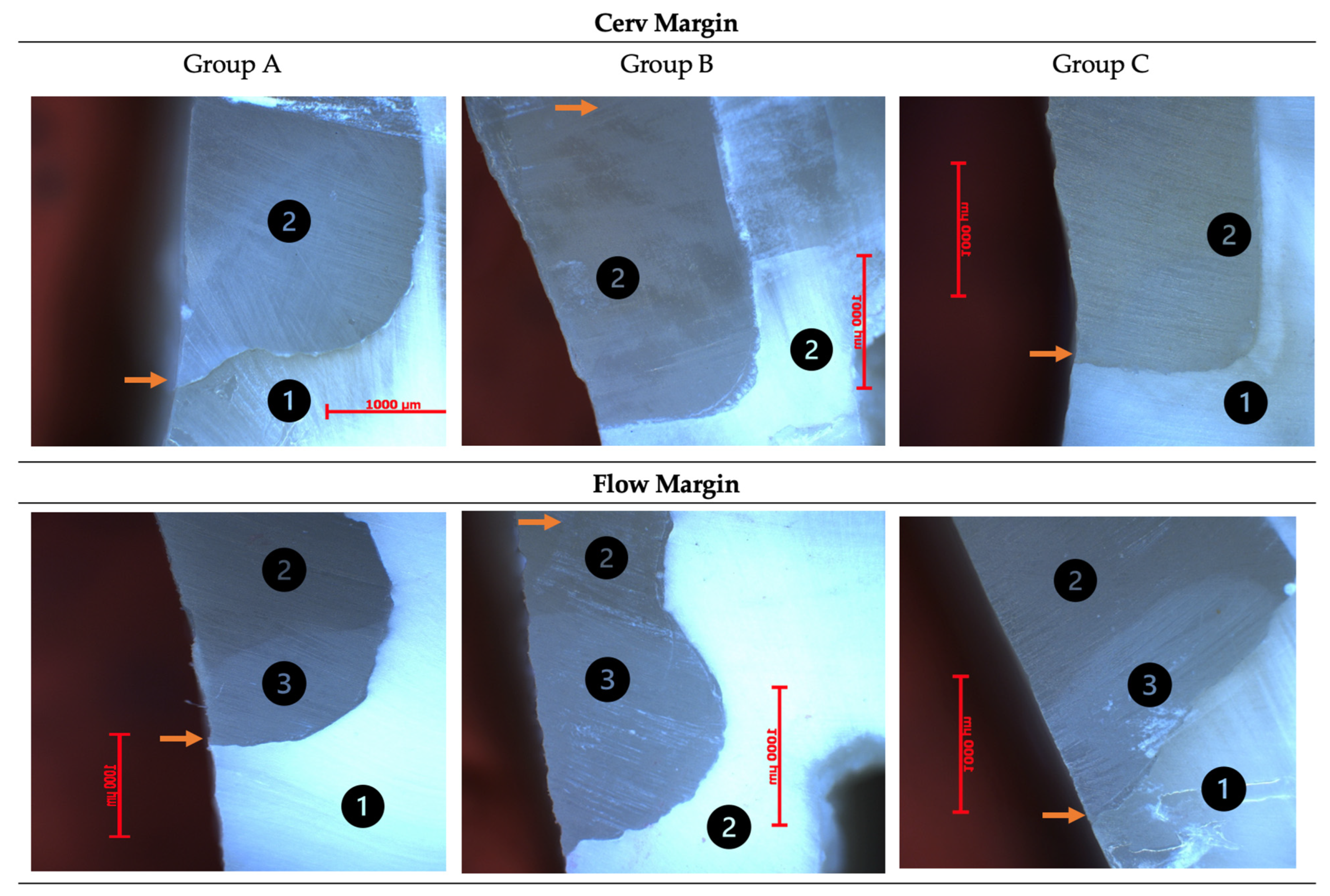 Dentistry 12 00092 g003 Dentistry 12 00092 g003