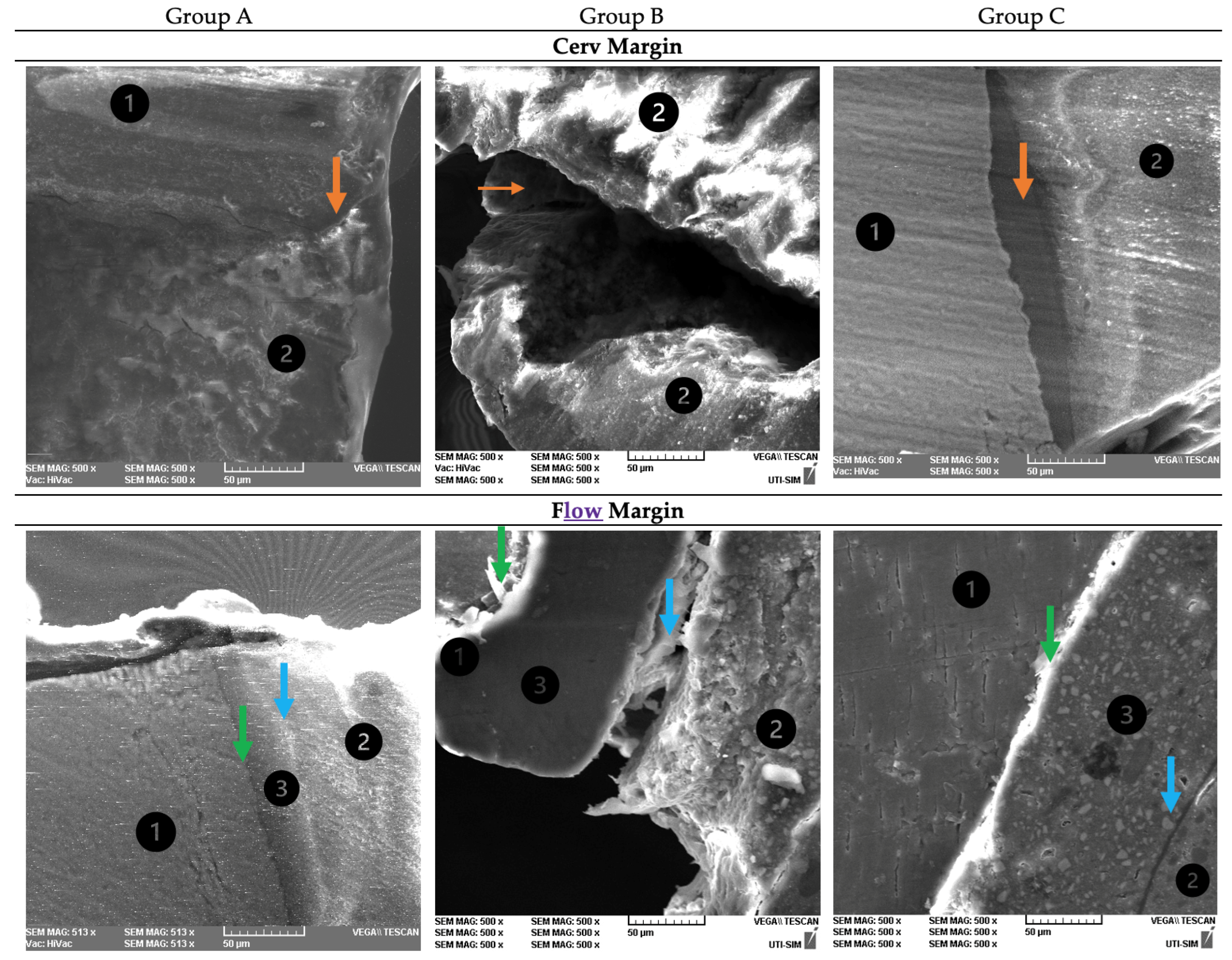 Dentistry 12 00092 g004 Dentistry 12 00092 g004