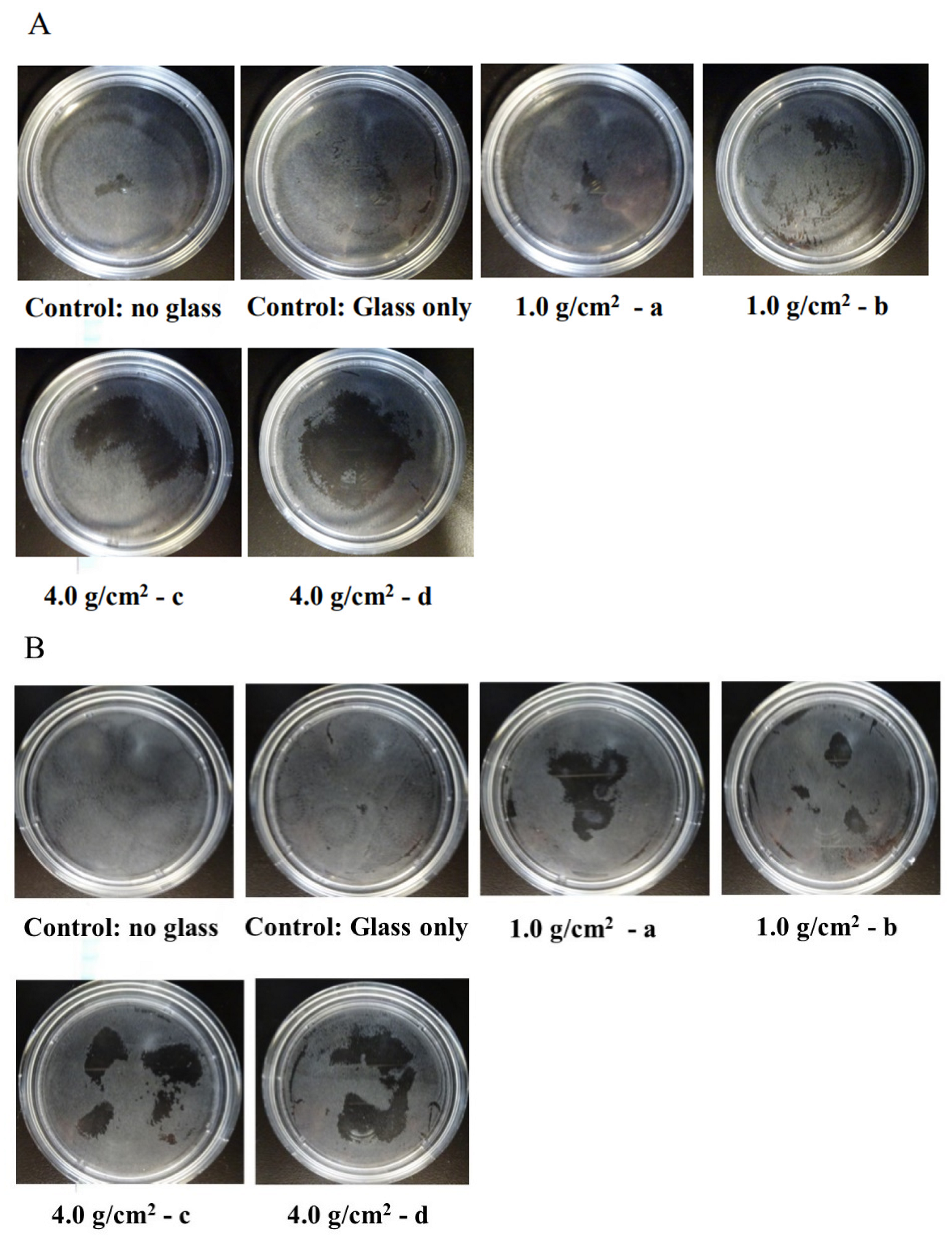 Dentistry 12 00108 g001