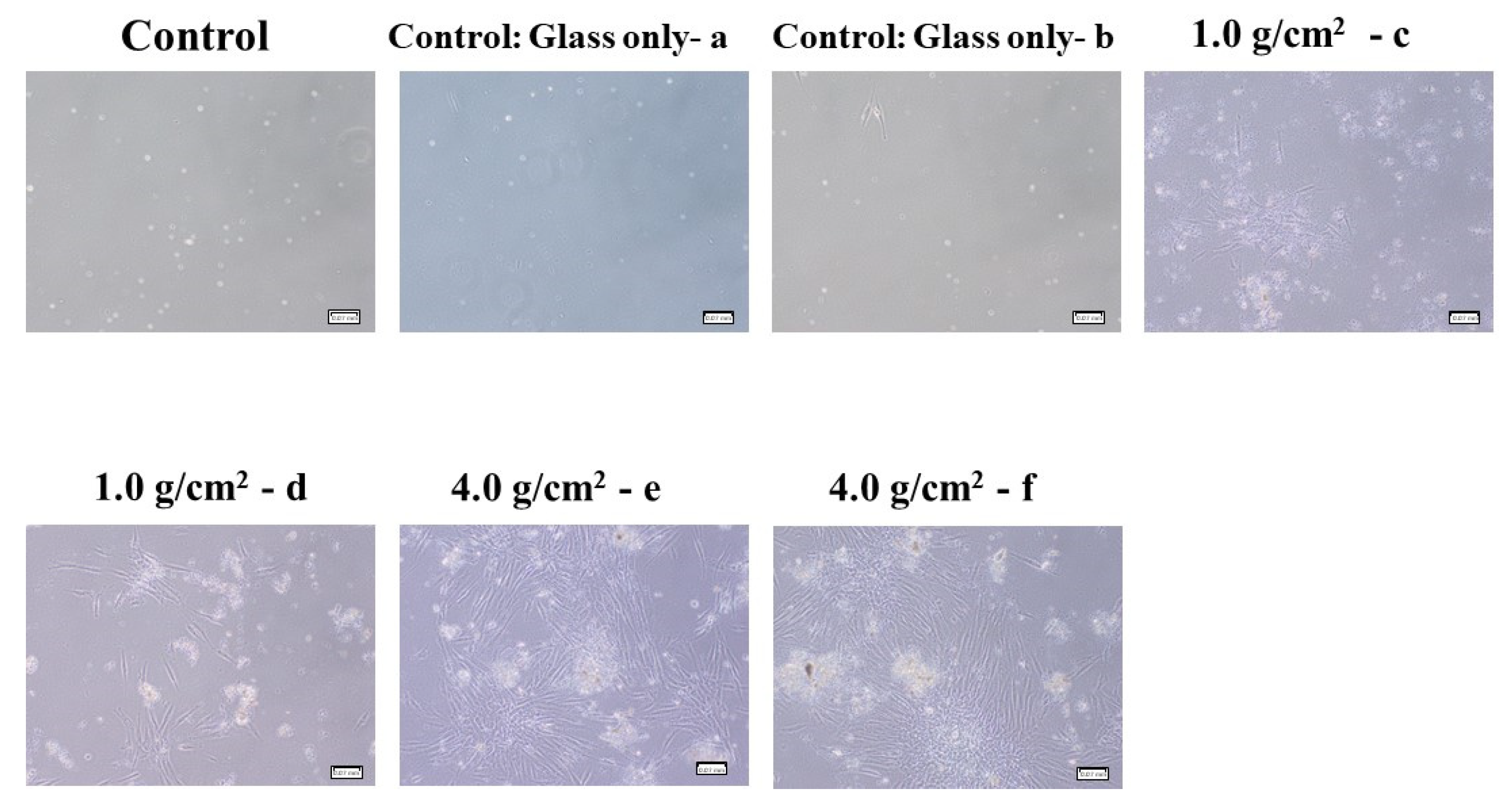 Dentistry 12 00108 g003