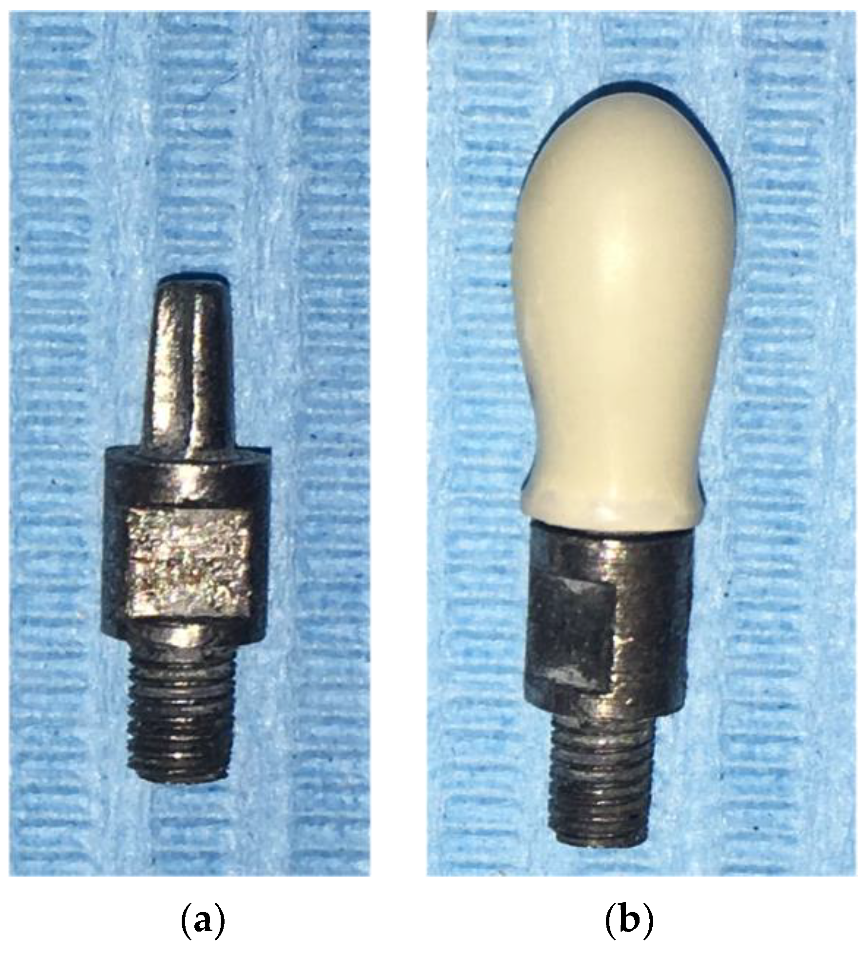 Dentistry 12 00111 g002