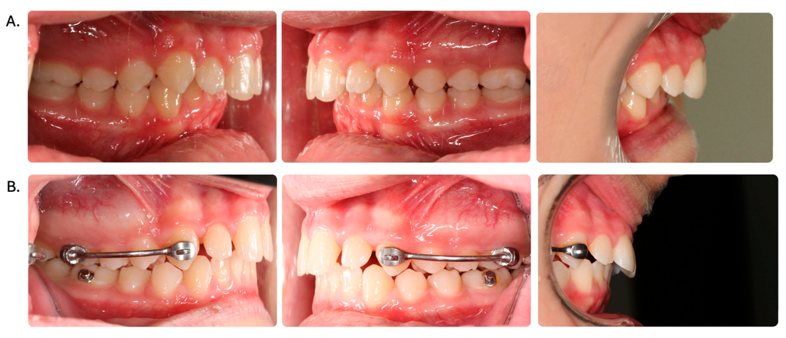 Dentistry 12 00119 g002