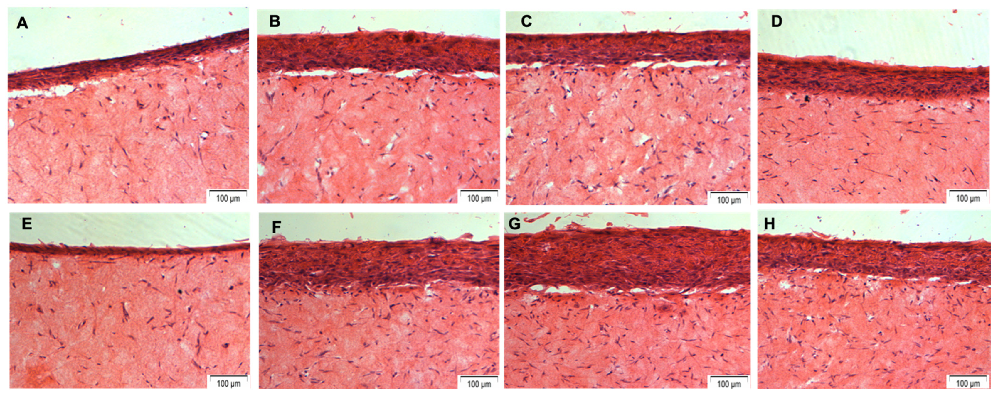 Dentistry 12 00126 g002