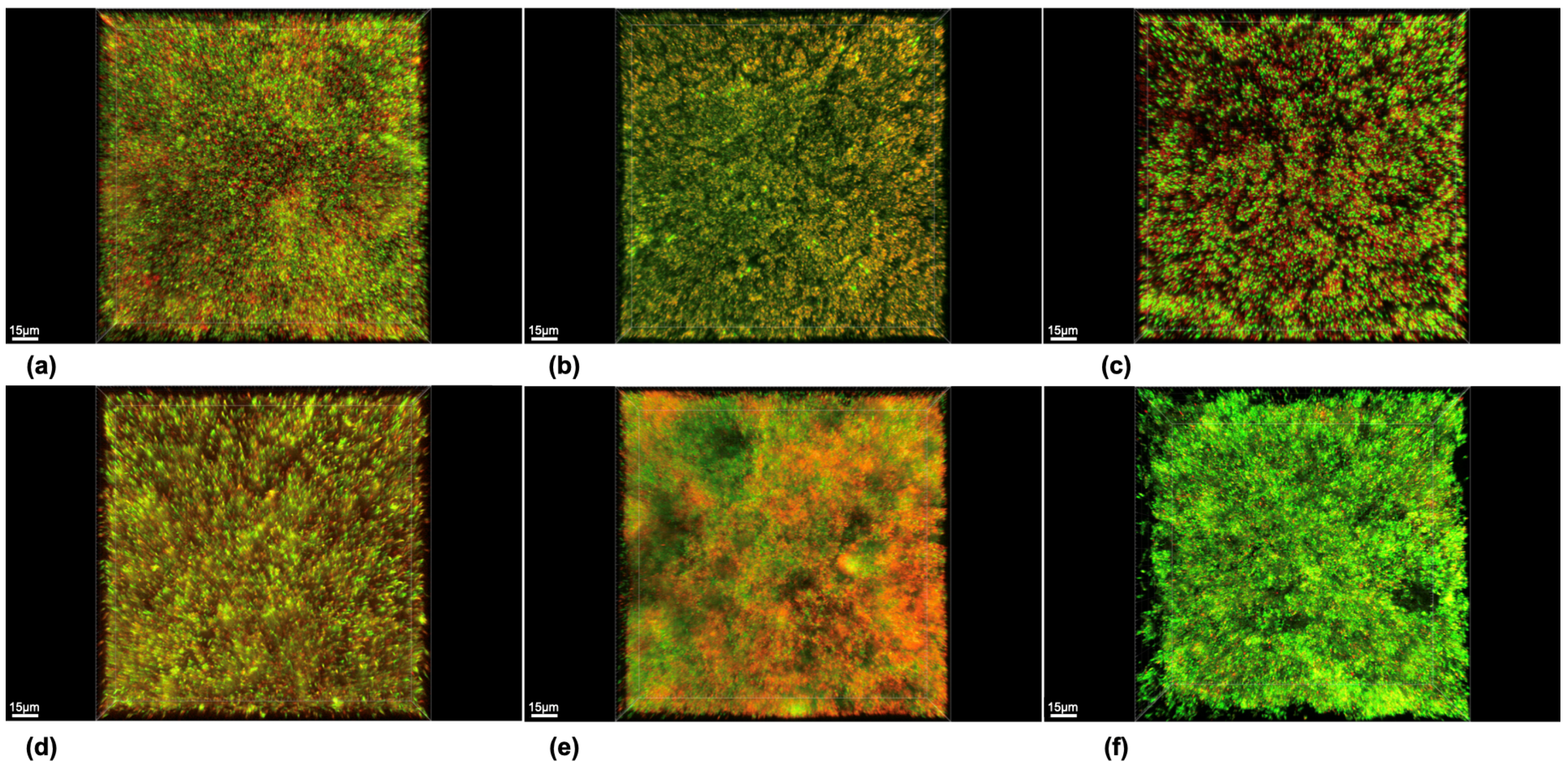 Dentistry 12 00141 g001 Dentistry 12 00141 g001