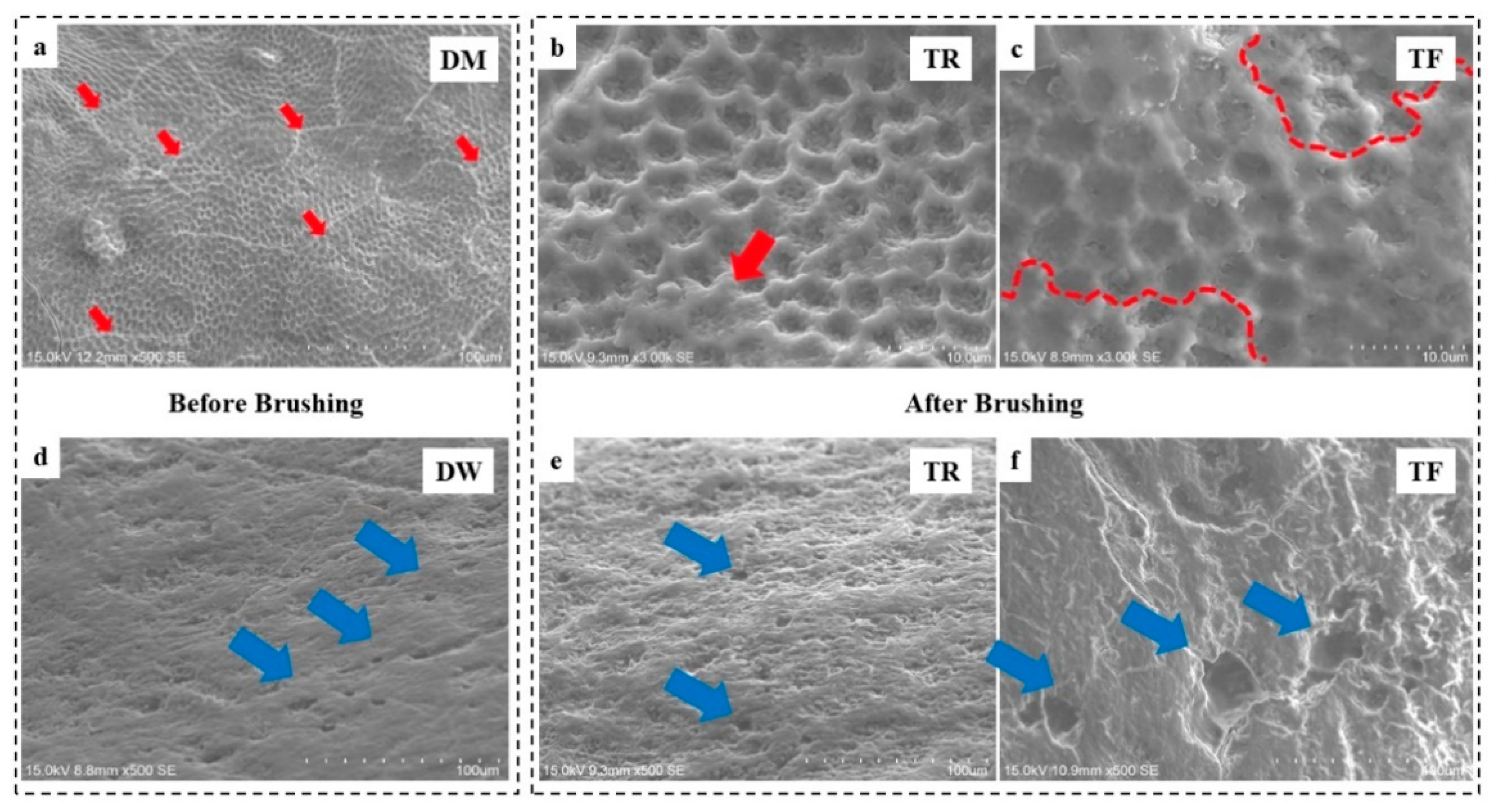 Dentistry 12 00142 g003