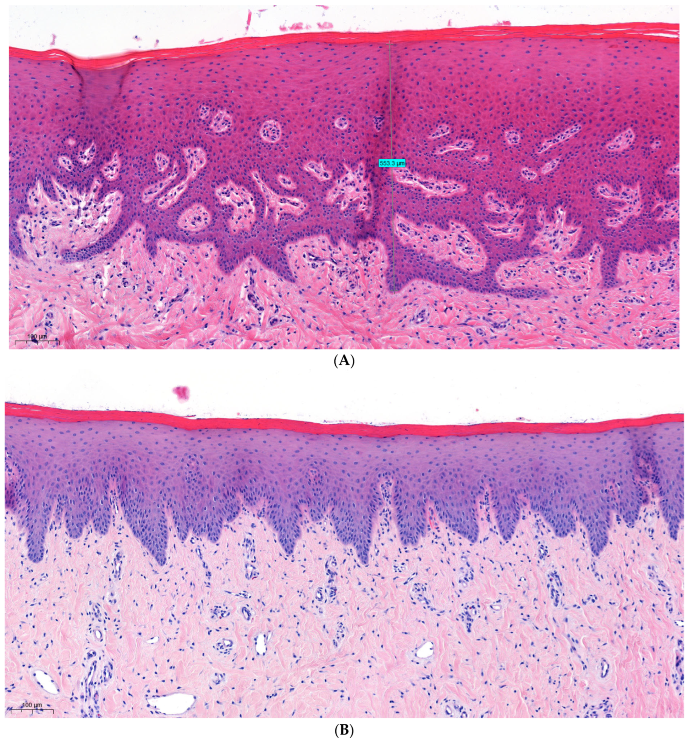 Dentistry 12 00151 g002a