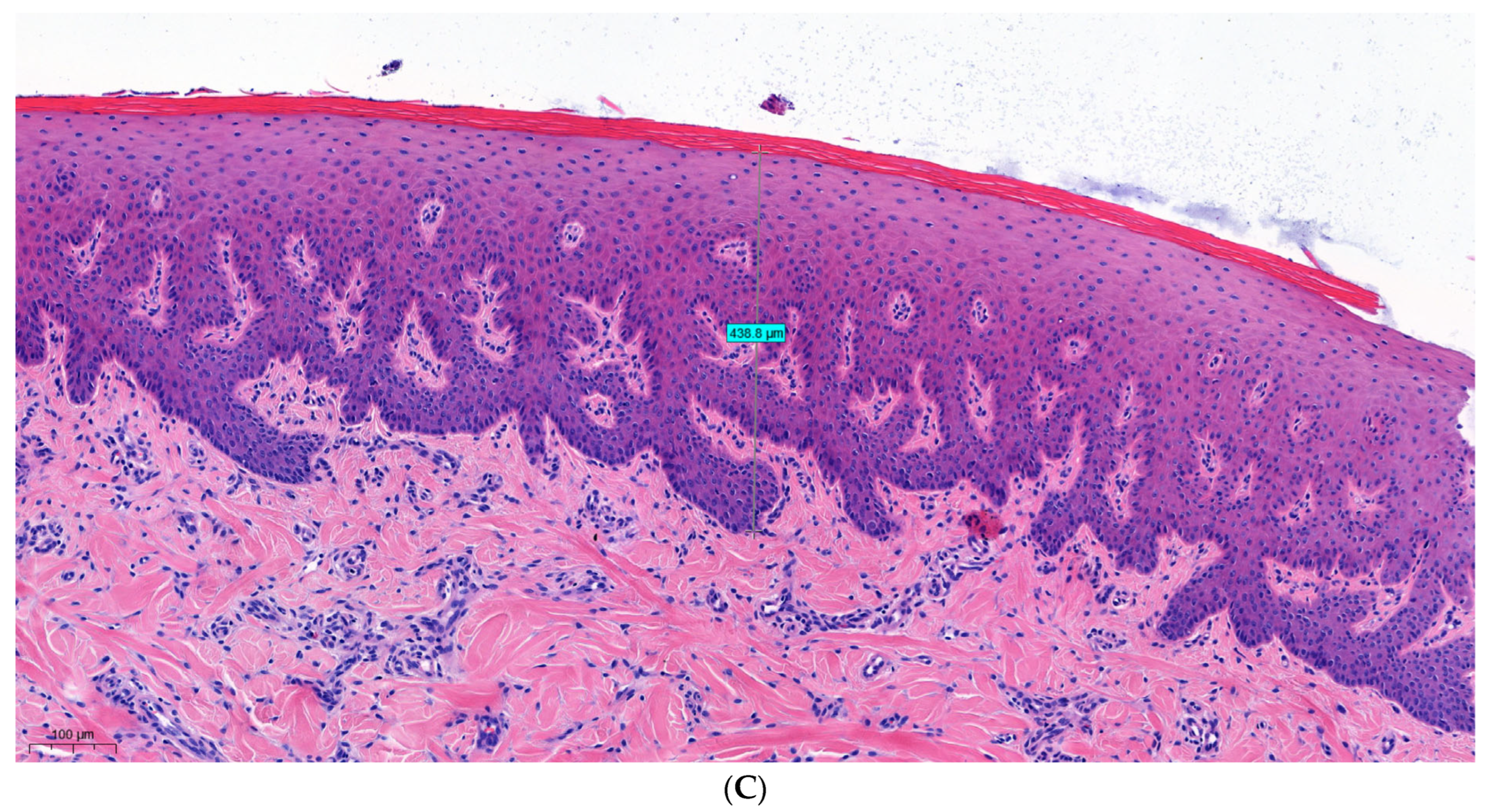 Dentistry 12 00151 g002b