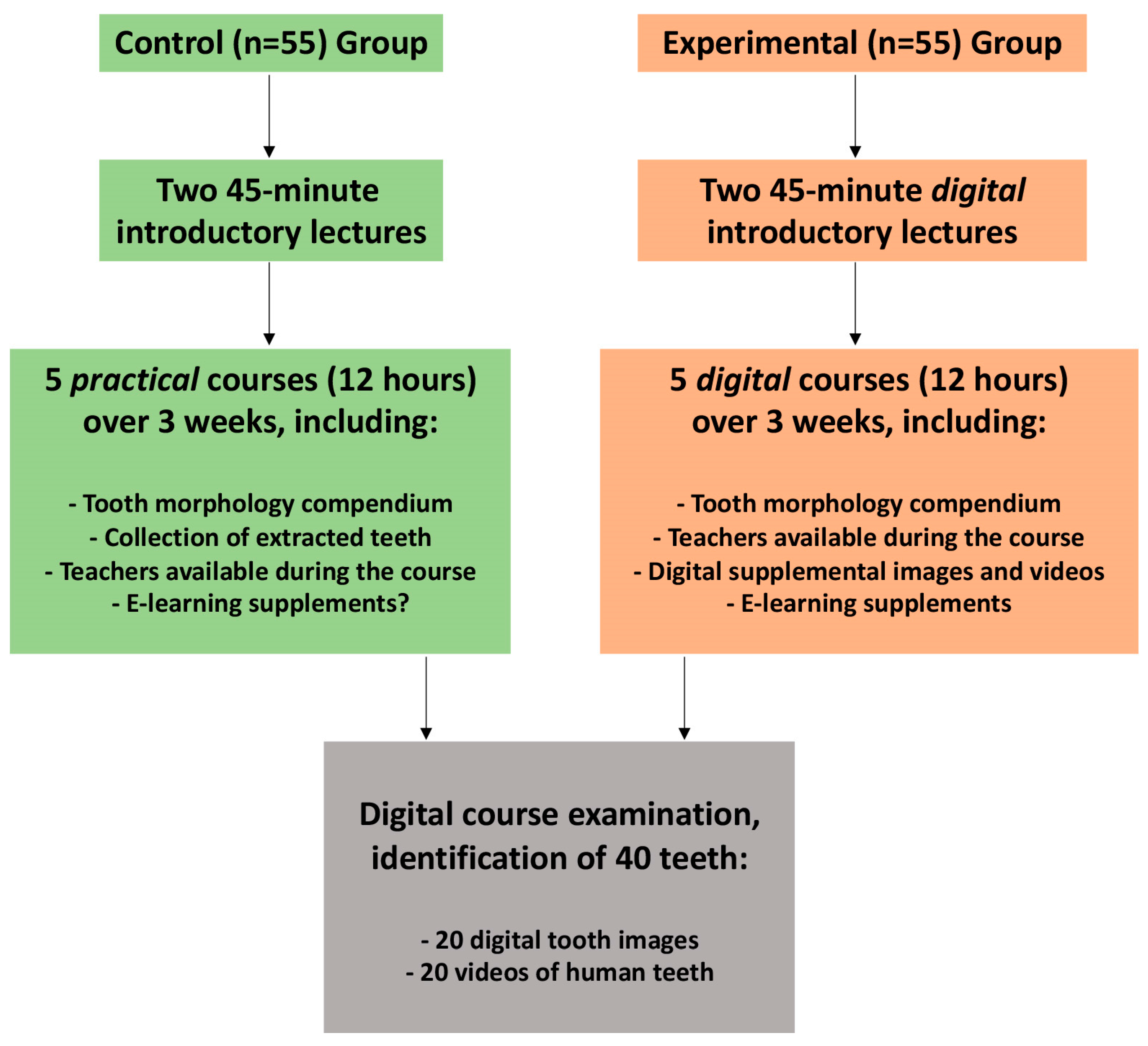 Dentistry 12 00162 g001