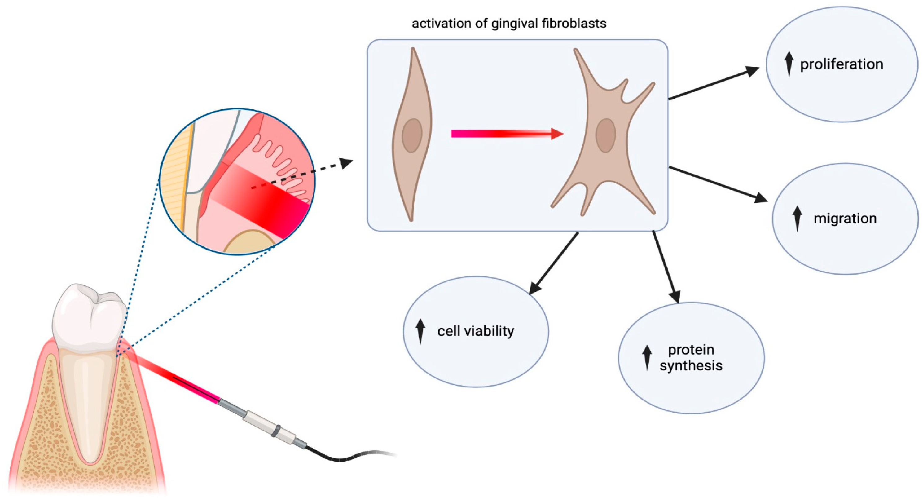 Dentistry 12 00164 g007 Dentistry 12 00164 g007