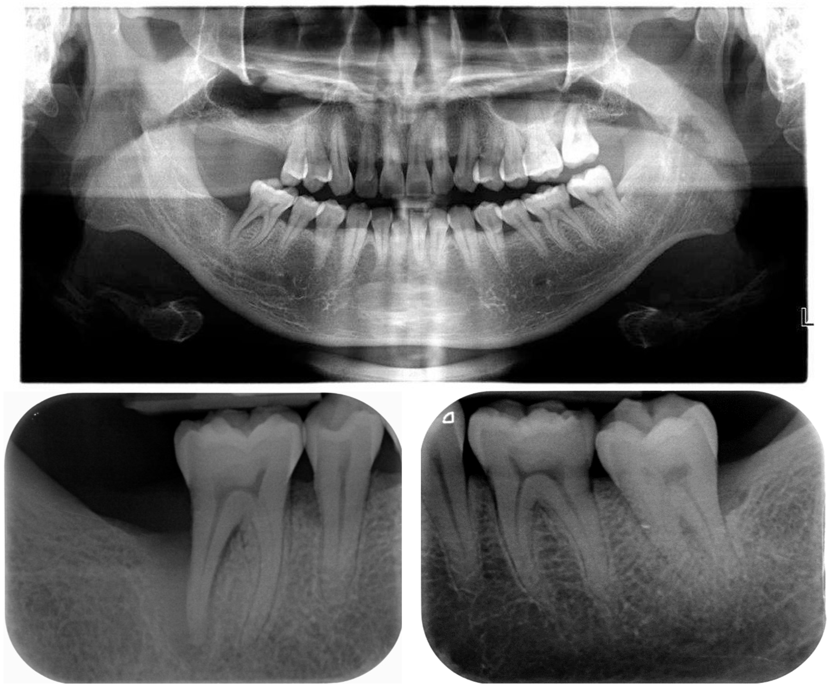 Dentistry 12 00170 g002