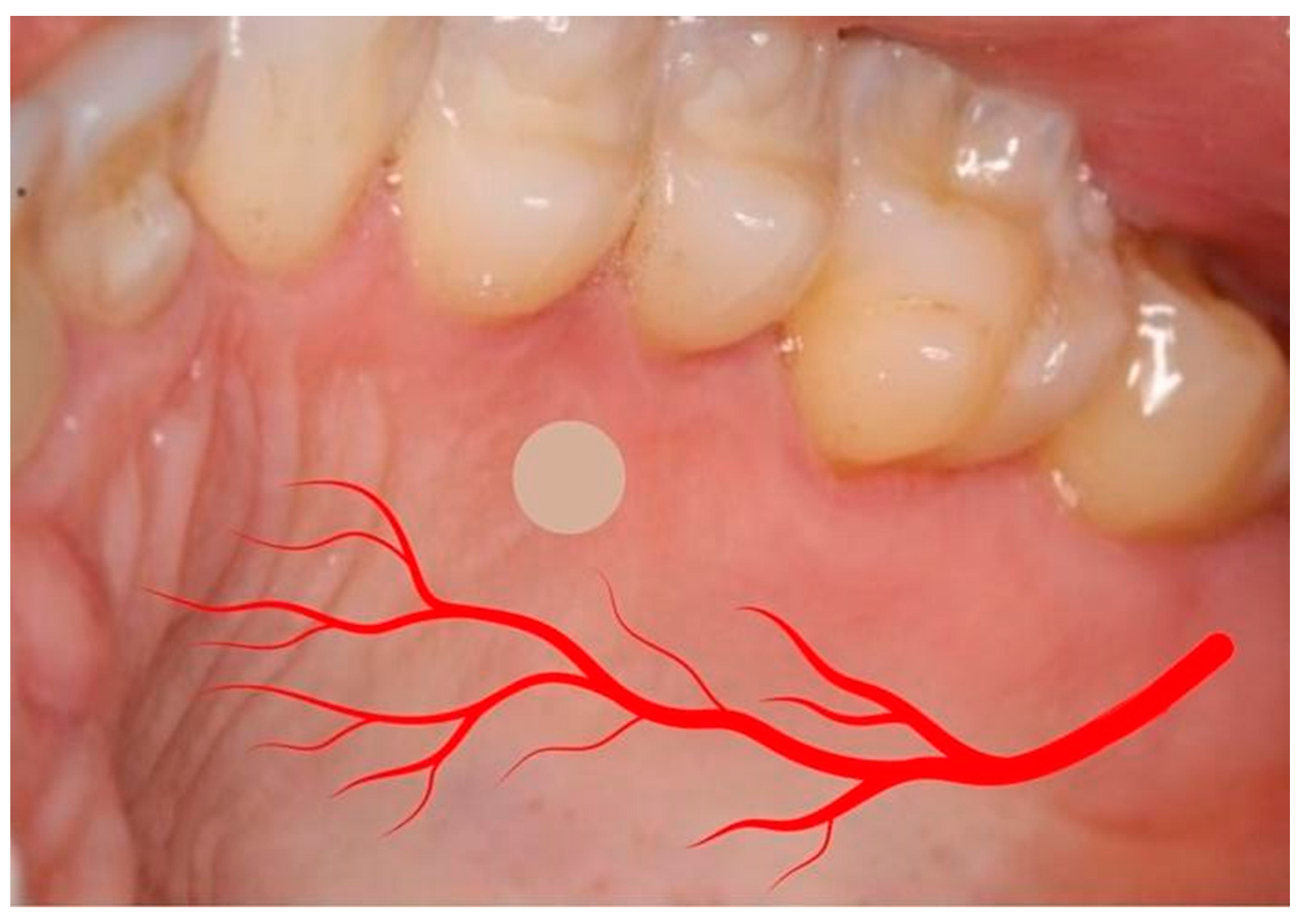 Dentistry 12 00172 g003