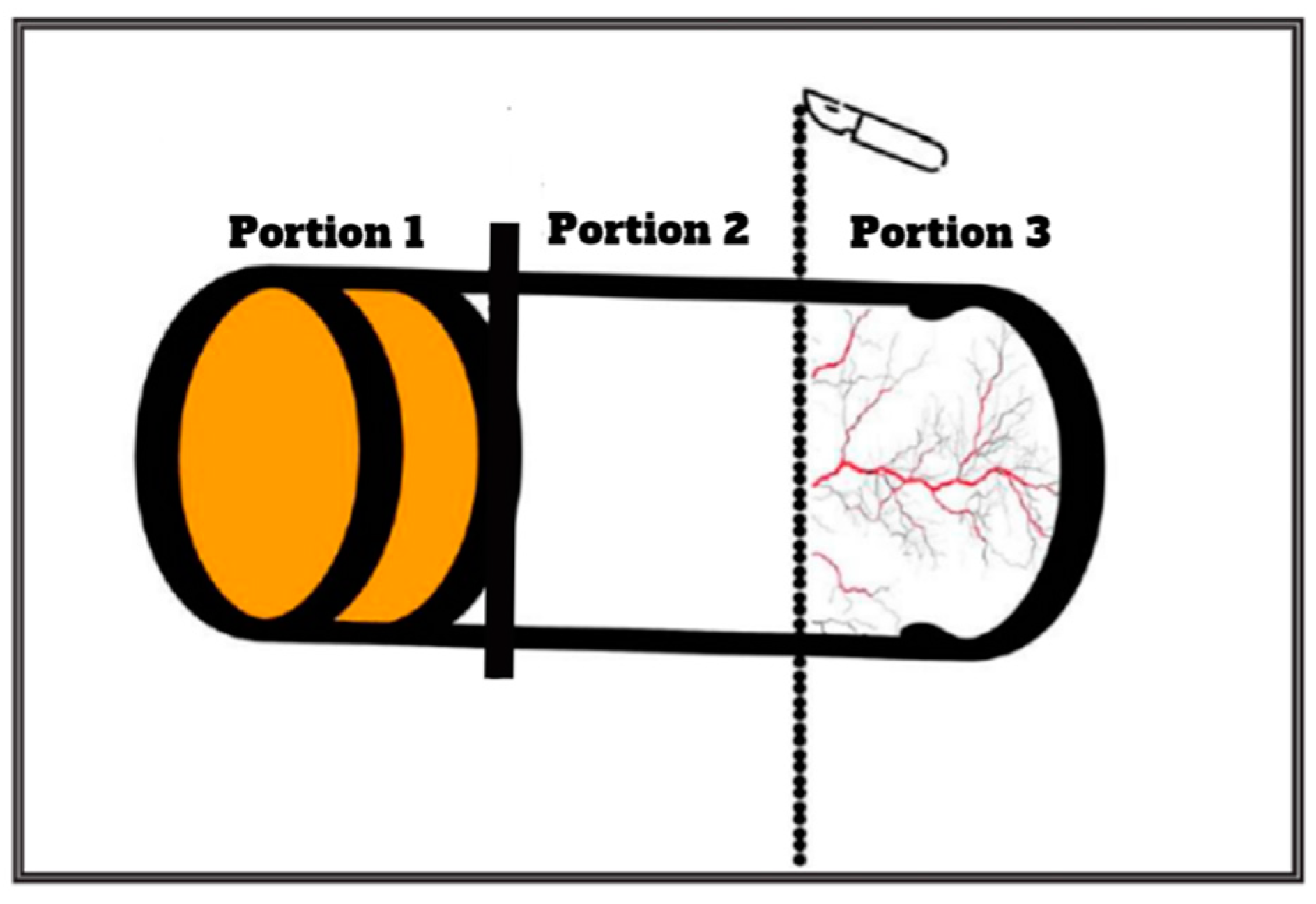 Dentistry 12 00172 g005