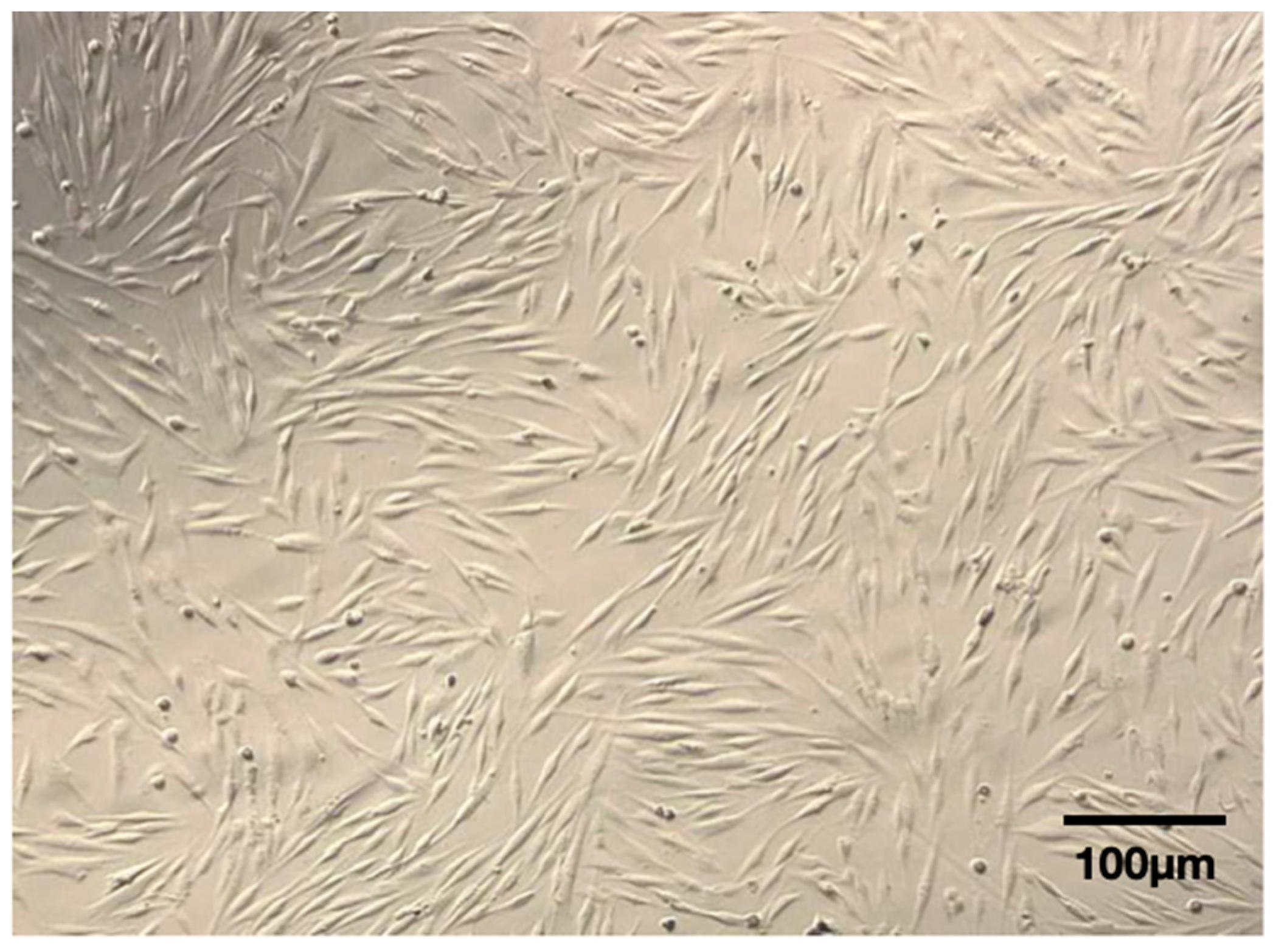 Dentistry 12 00172 g007